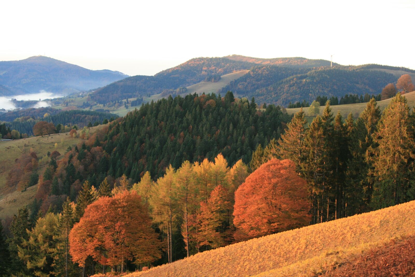 Canon EOS 400D (EOS Digital Rebel XTi / EOS Kiss Digital X) sample photo. Autumn, black forest, panorama photography