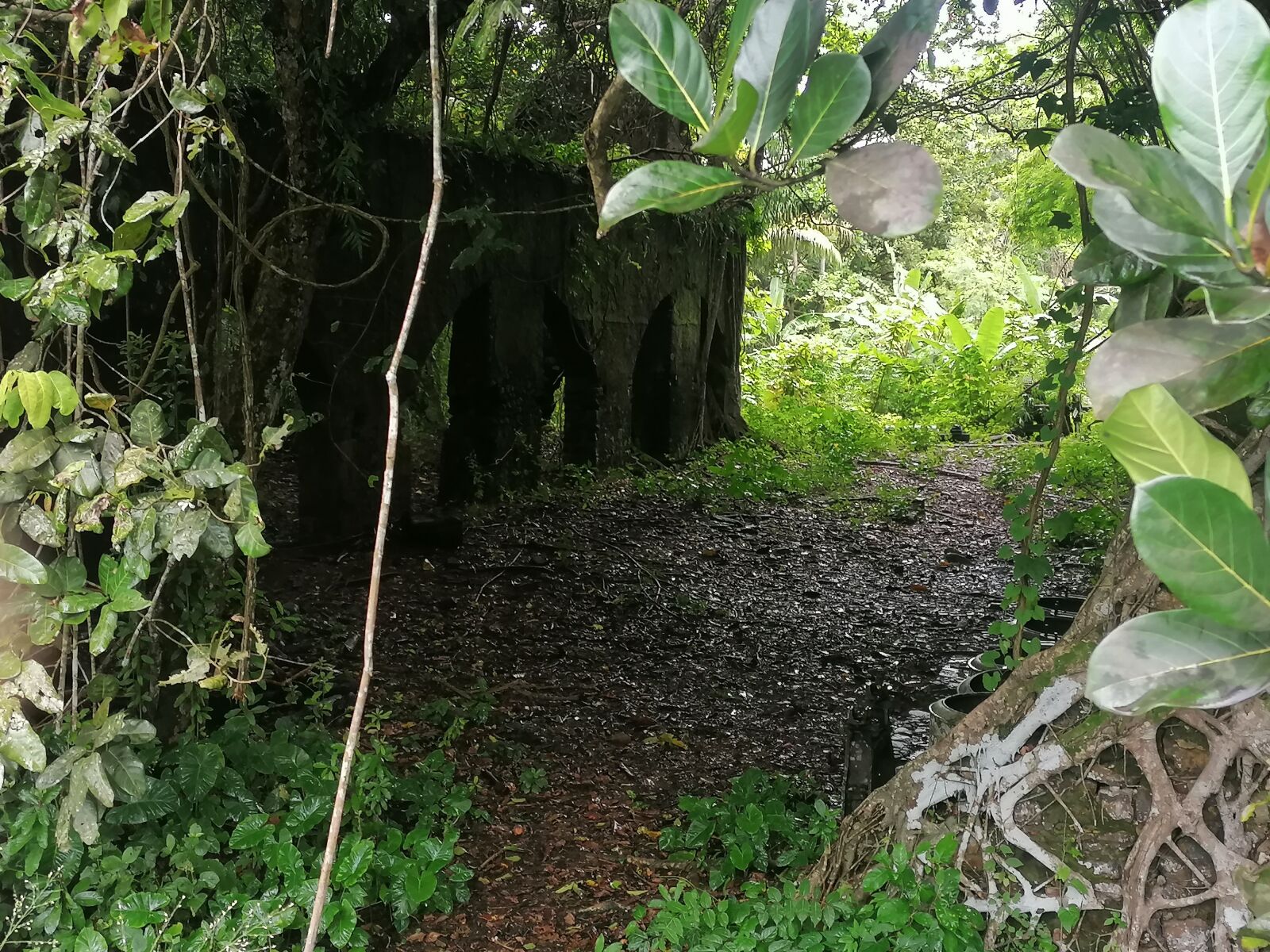 HUAWEI P30 LITE sample photo. Ruin, sugar factory, mayotte photography