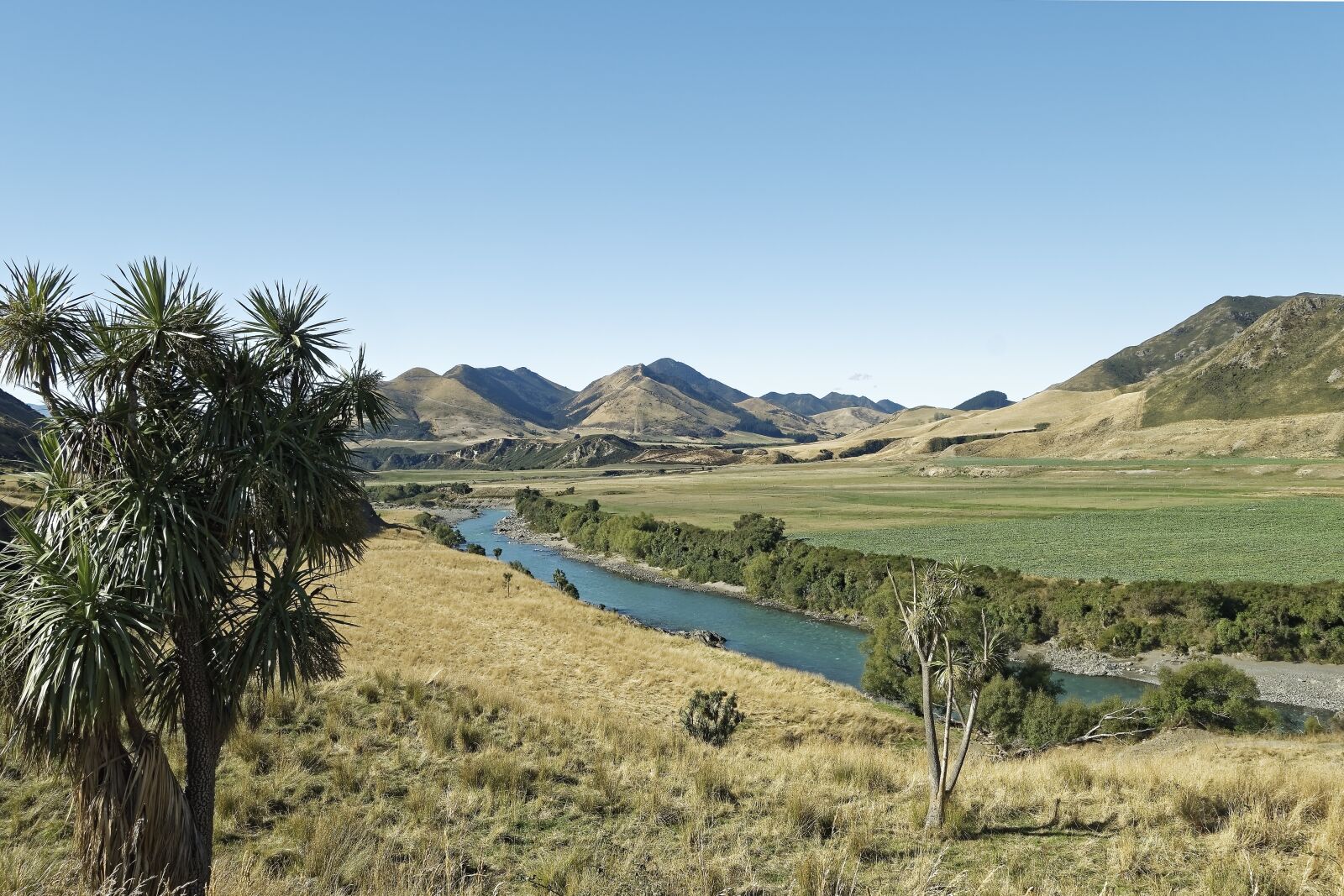 Nikon D500 sample photo. New zealand, canterbury region photography