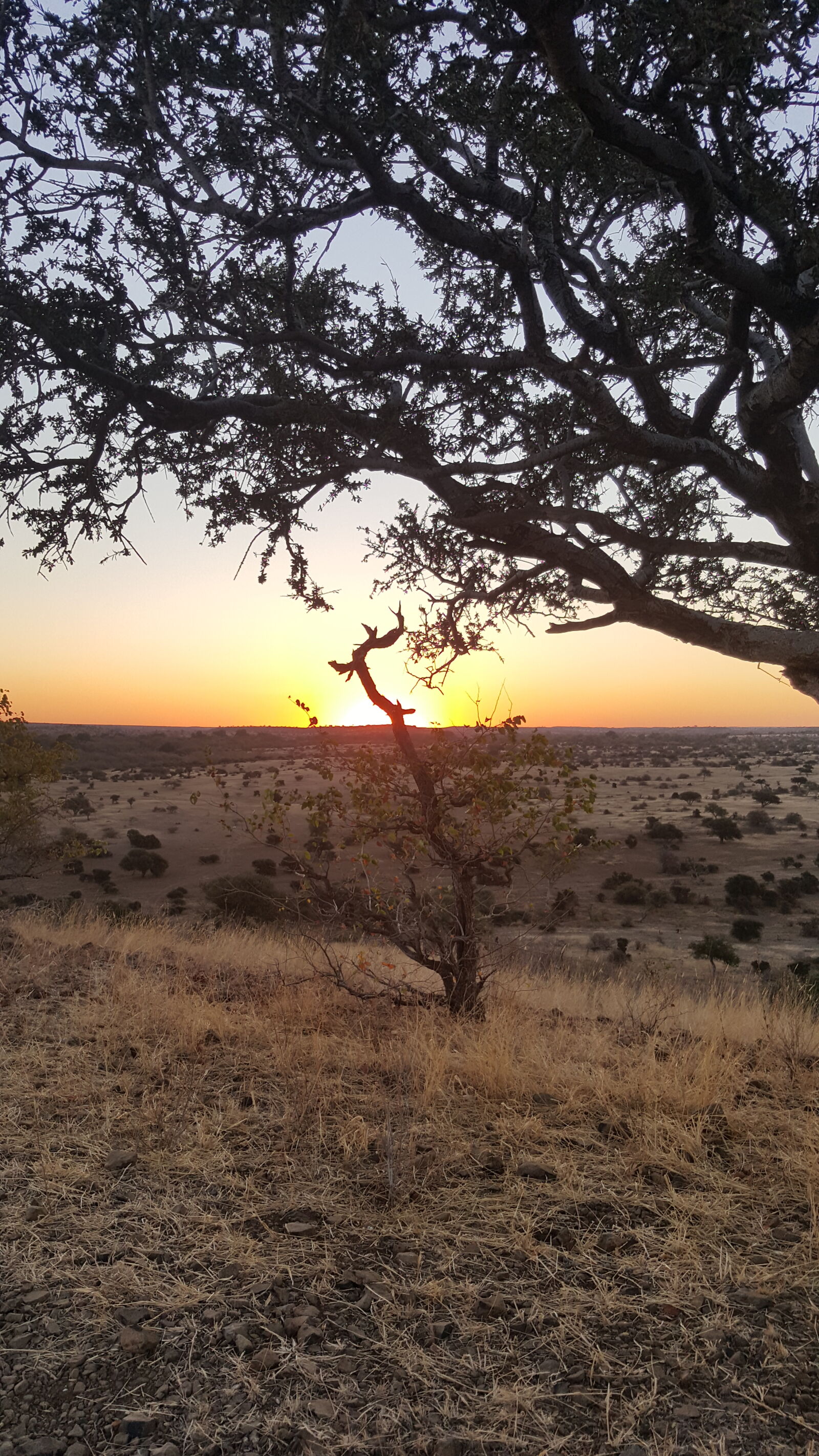 Samsung Galaxy Note5 sample photo