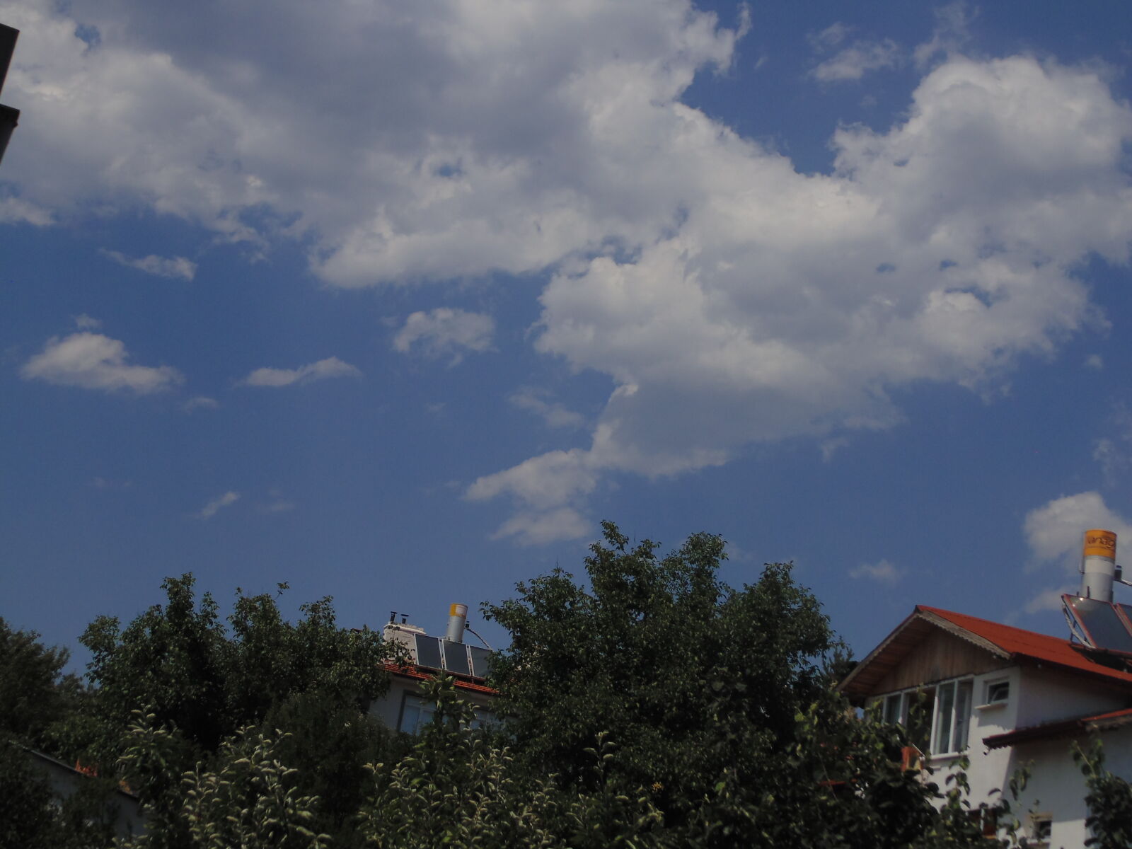 Sony DSC-H100 sample photo