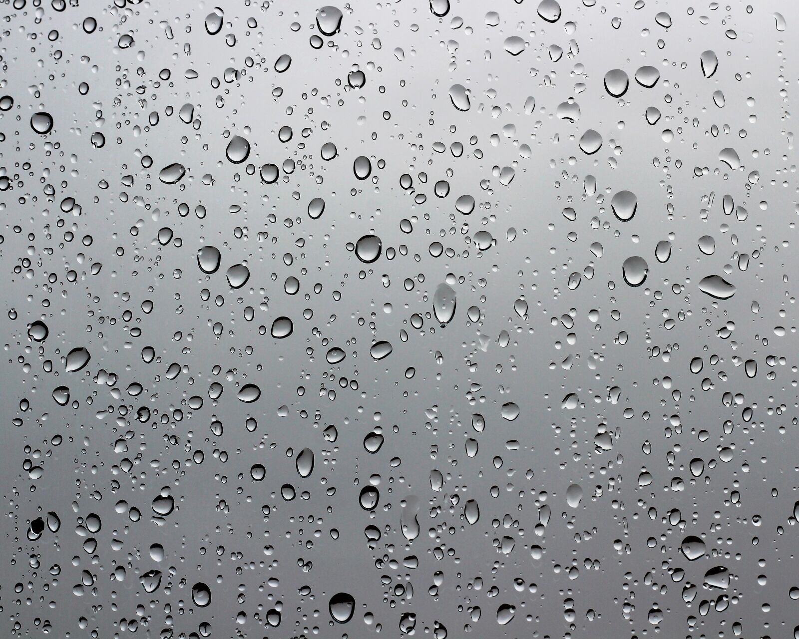 Canon EOS 600D (Rebel EOS T3i / EOS Kiss X5) + Canon EF 50mm F1.8 II sample photo. Window, glass, rain drops photography