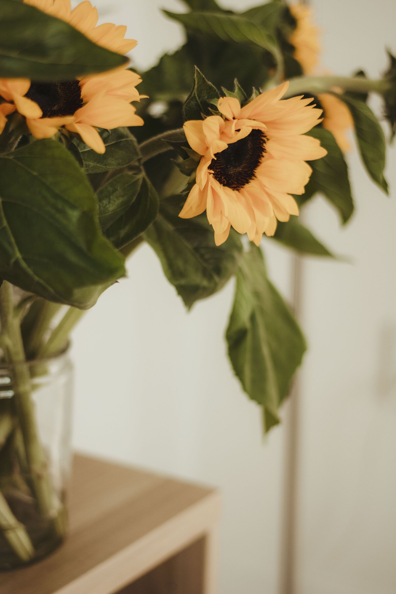 Nikon D5200 sample photo. Sunflower, bouquet, decorative photography