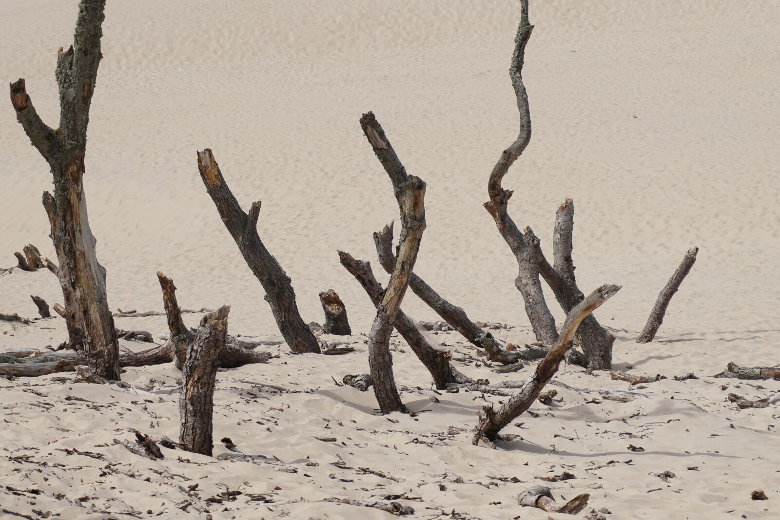 Sony a6300 sample photo. Landscape, panorama, dune landscape photography