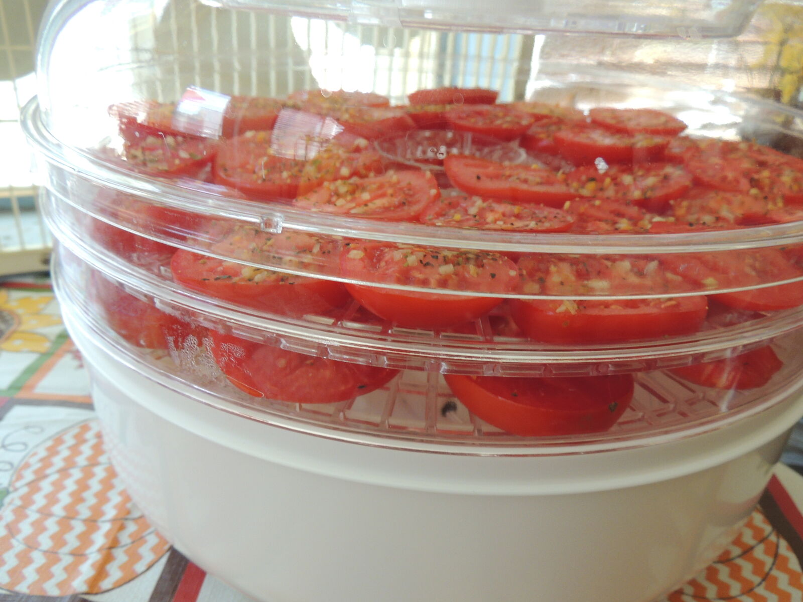 Nikon Coolpix P510 sample photo. Dehydrated, tomatoes, dehydrator, dried photography