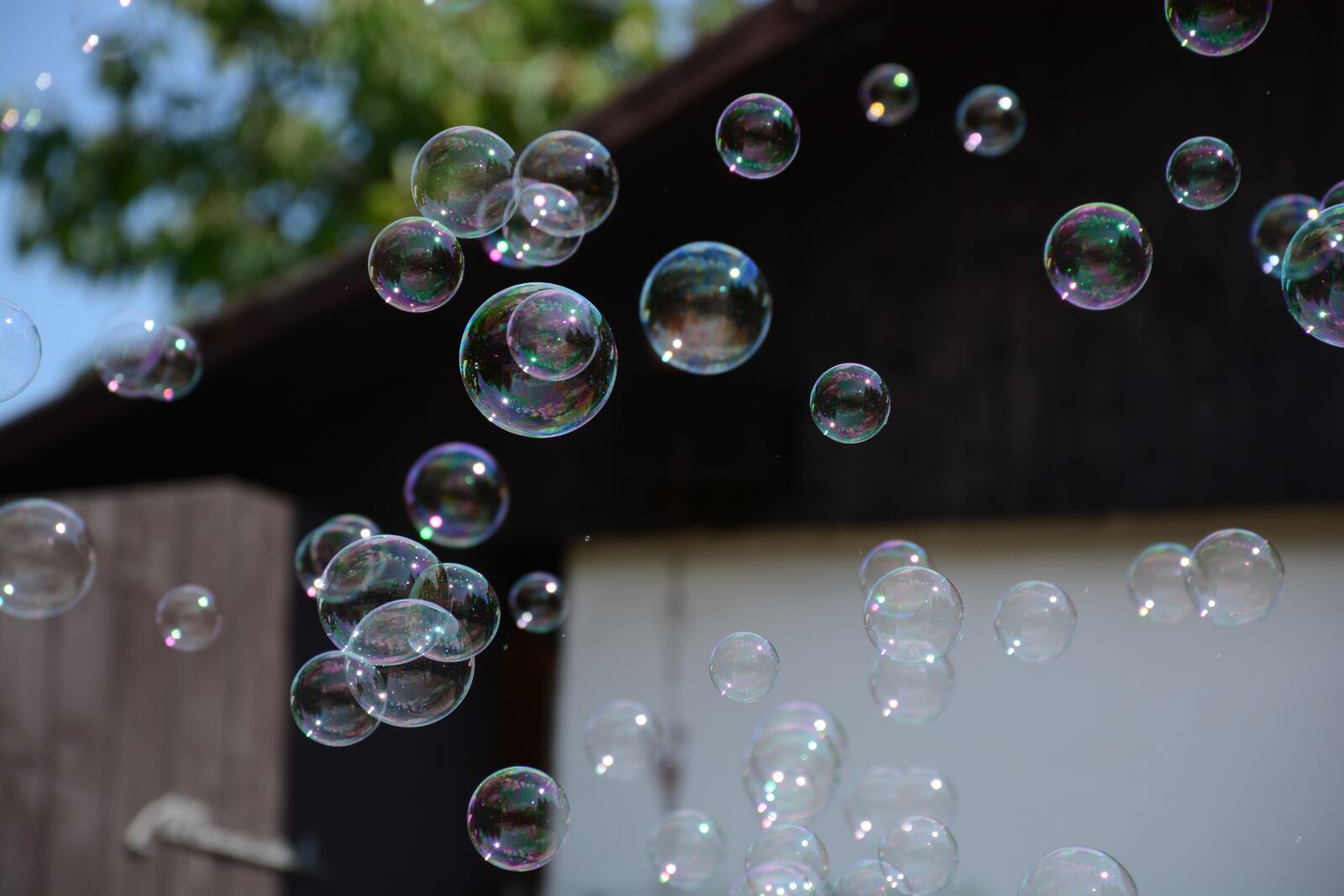 Nikon D7100 sample photo. Bubbles, bubble blower, bubble photography