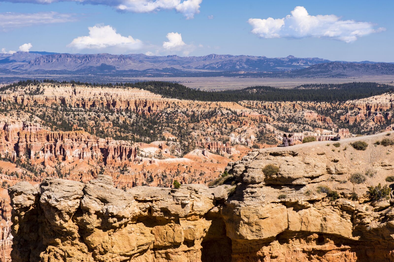 Nikon D4S sample photo. Landscape, usa, scenic photography