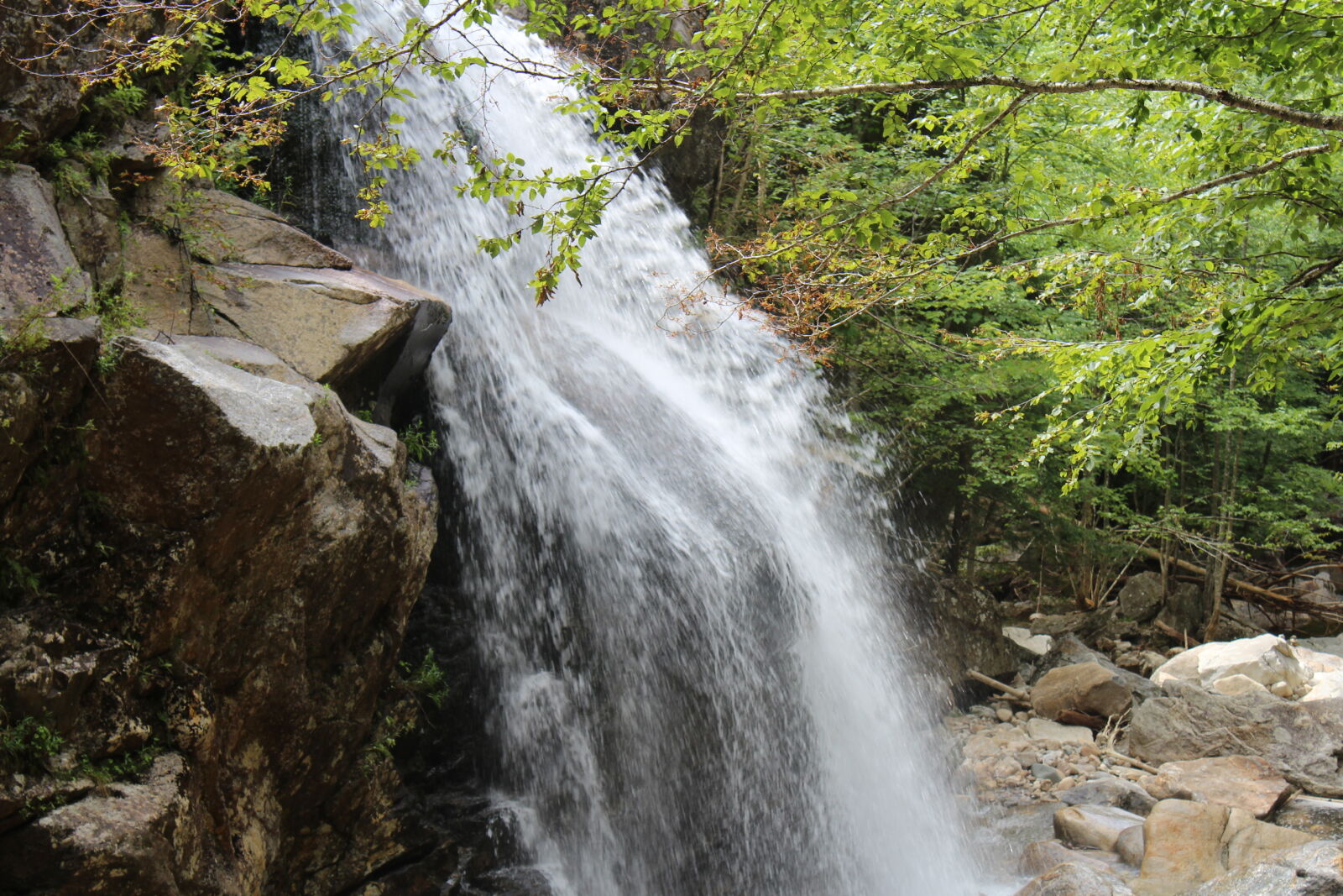 Canon EOS 1200D (EOS Rebel T5 / EOS Kiss X70 / EOS Hi) sample photo. Forest, new, hampshire, rocks photography