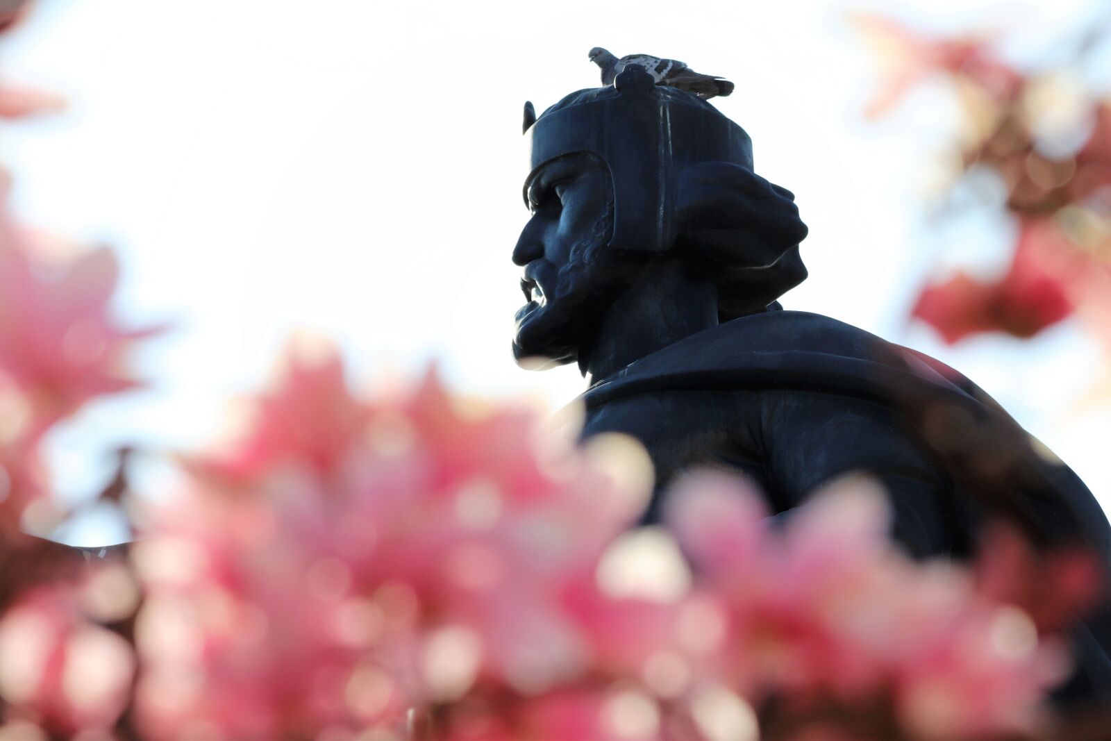 Canon EOS 200D (EOS Rebel SL2 / EOS Kiss X9) sample photo. Monument, king tomislav, statue photography
