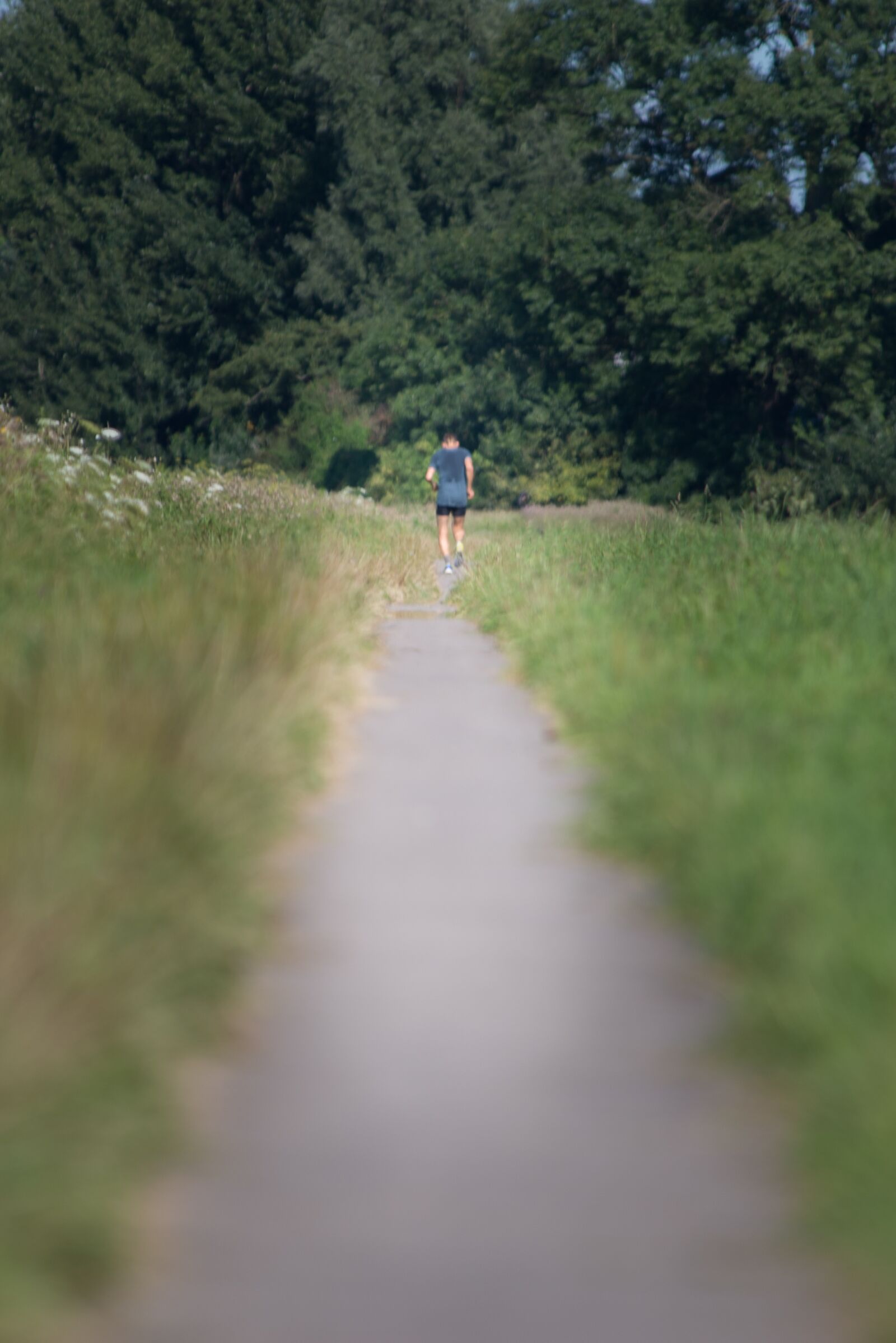 Nikon D600 sample photo. Outside, running, field photography