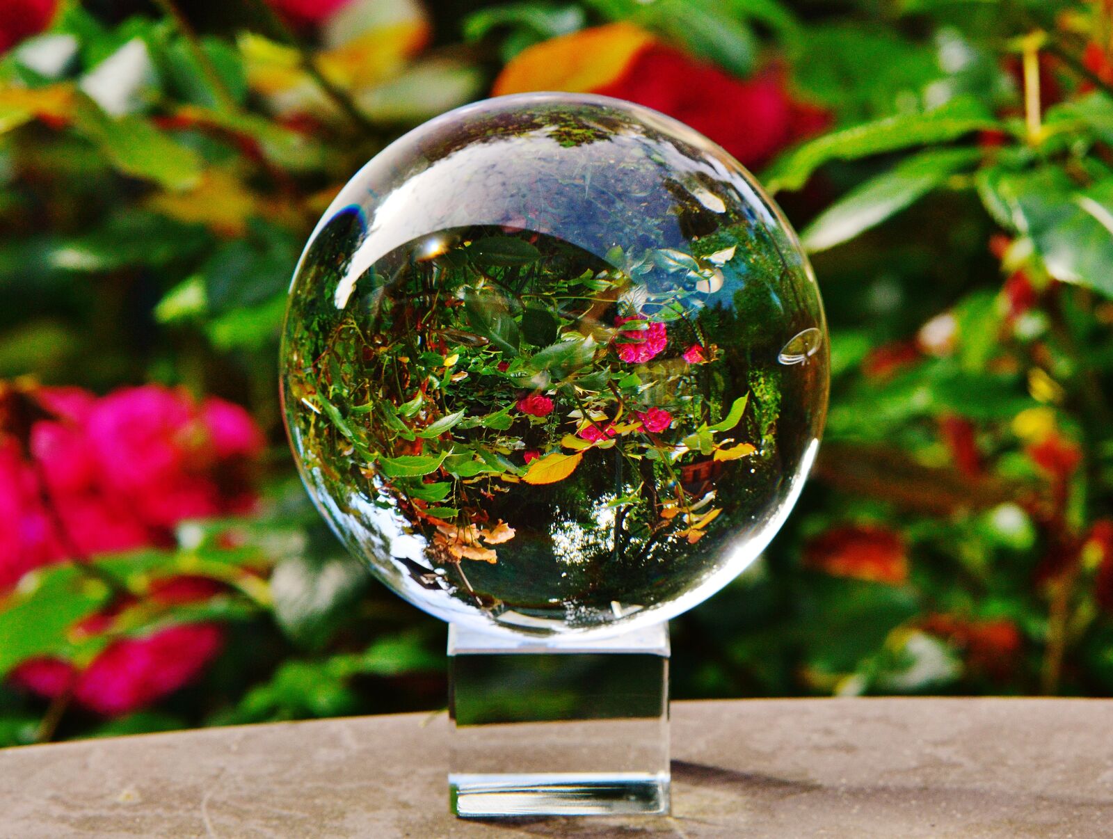 Nikon D3200 sample photo. Glass ball, ball, mirroring photography