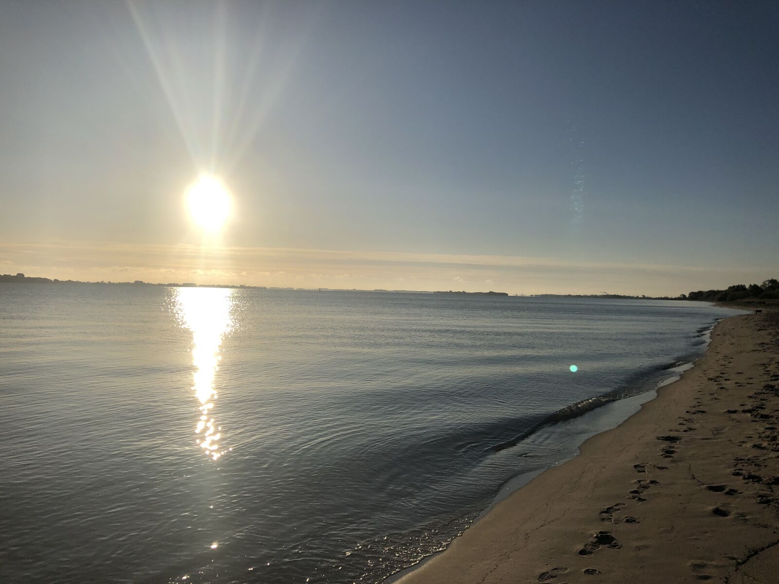 iPhone X back dual camera 4mm f/1.8 sample photo. Beach, cabbage sand, sunrise photography