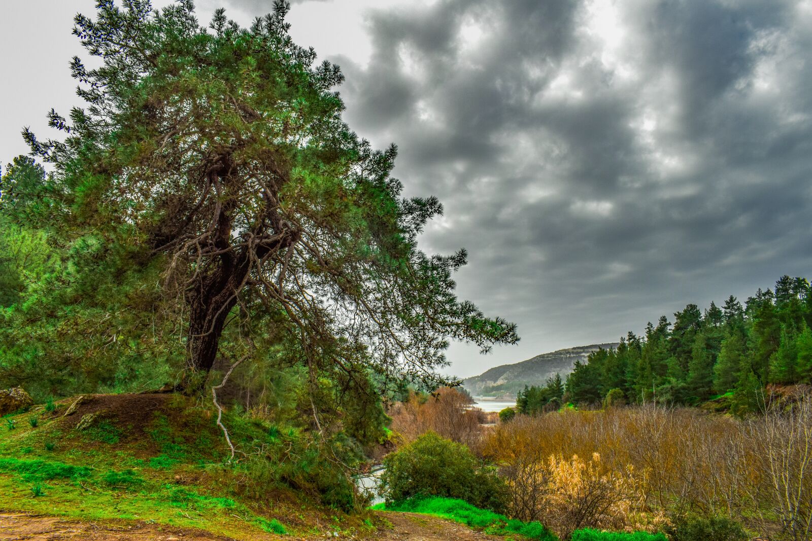 Nikon D3300 sample photo. Landscape, tree, mountains photography