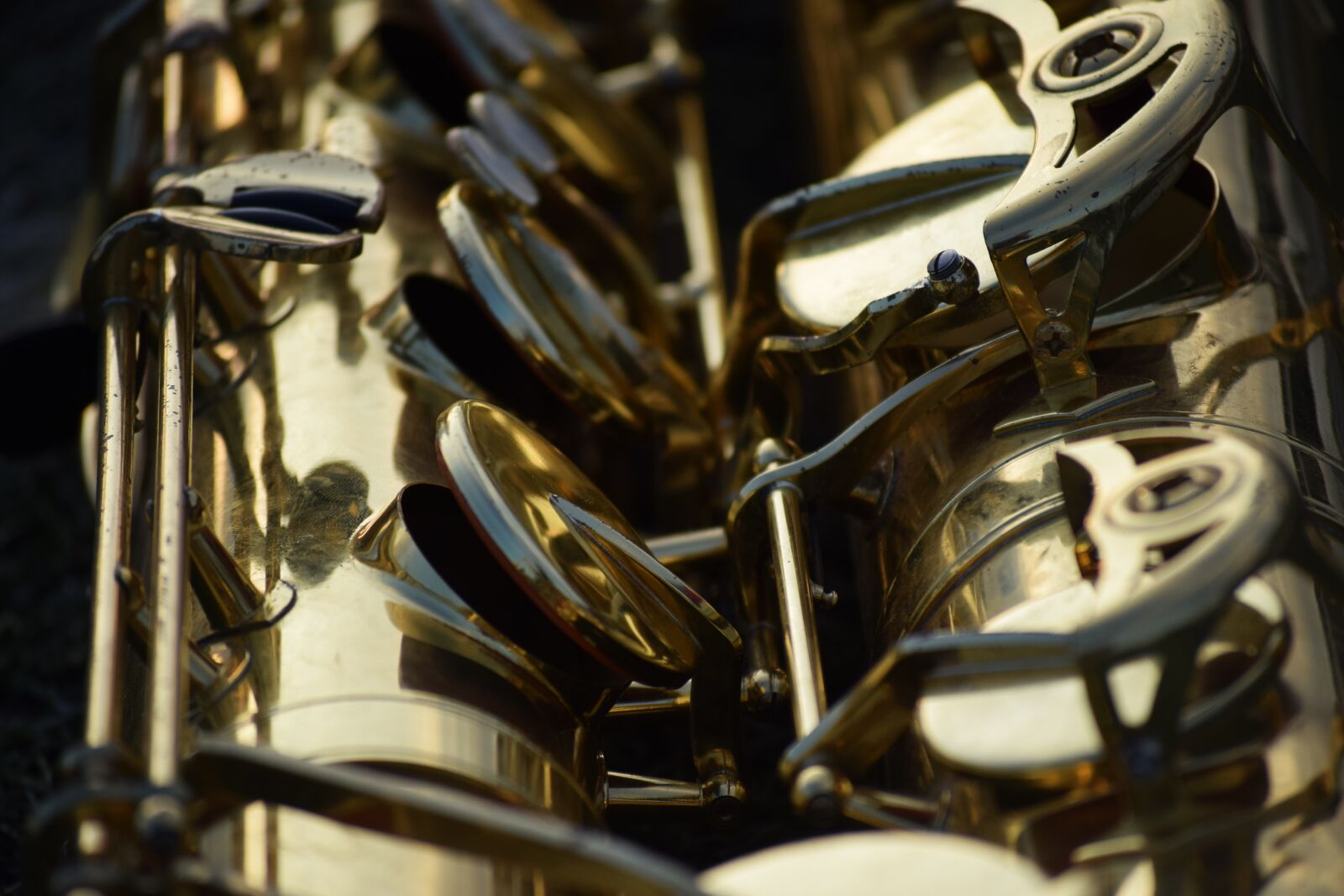 Nikon D3300 sample photo. Musical instruments, sax, saxophone photography