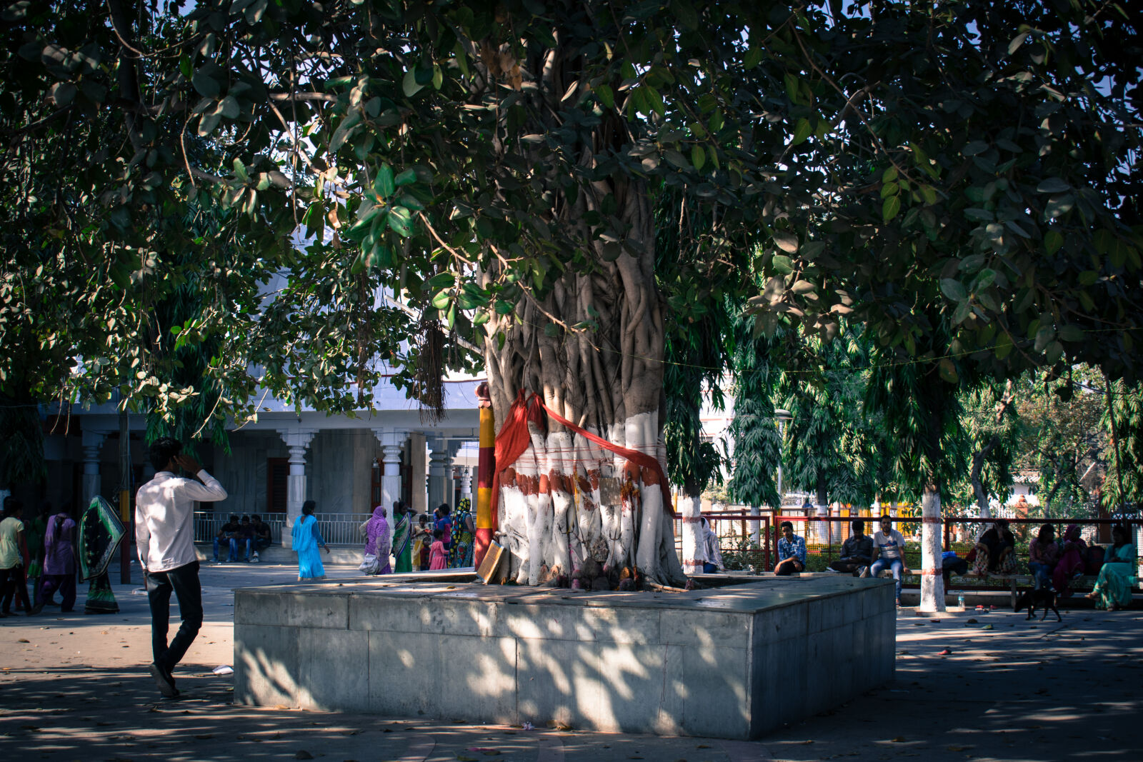 Nikon D3300 sample photo