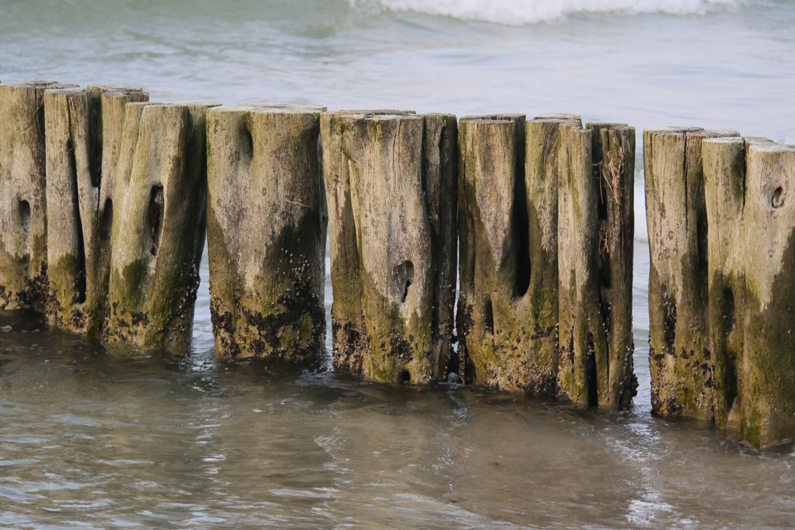 Panasonic Lumix DC-G9 sample photo. Breakwater, groyne, baltic sea photography