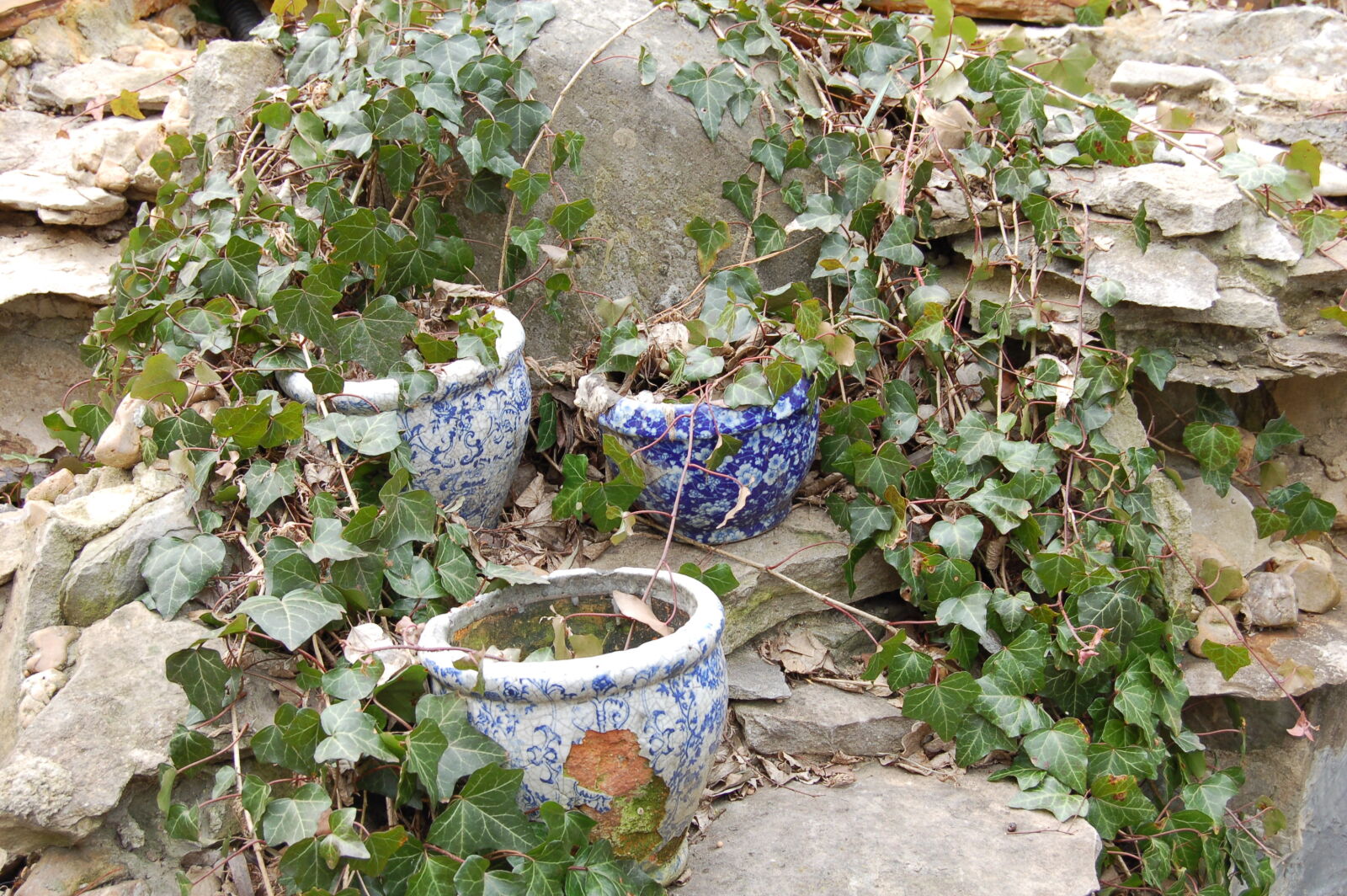 Nikon D50 sample photo. Garden, pottery photography