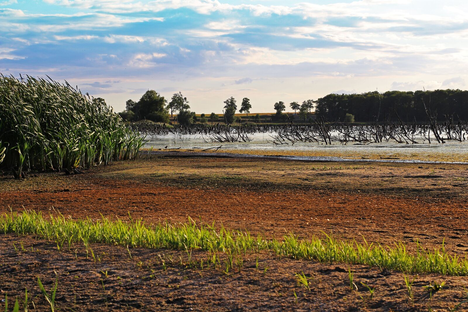 Canon EOS 700D (EOS Rebel T5i / EOS Kiss X7i) sample photo. Protected landscape area, hatchery photography