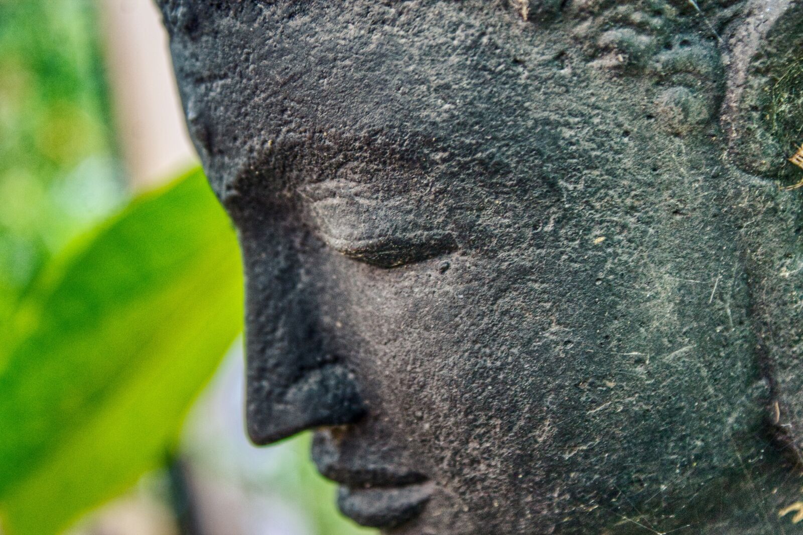 Canon EOS 1100D (EOS Rebel T3 / EOS Kiss X50) sample photo. Buddha, yoga, meditation photography