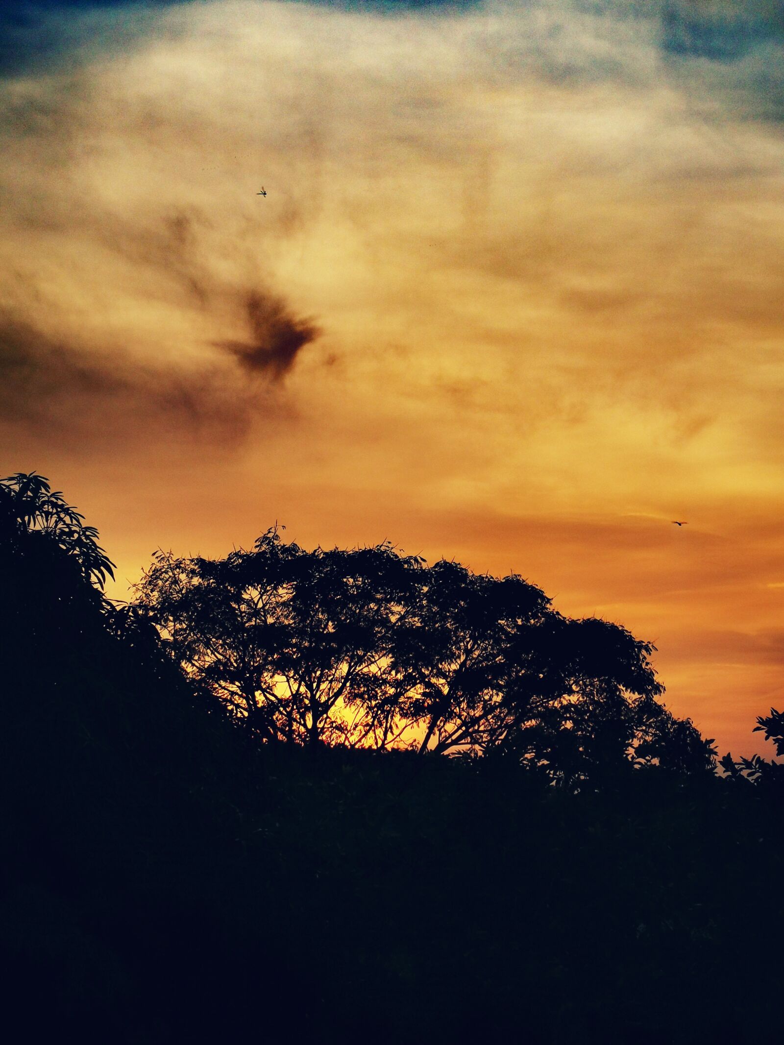 HUAWEI P30 Pro sample photo. Sunset, sky, nature photography