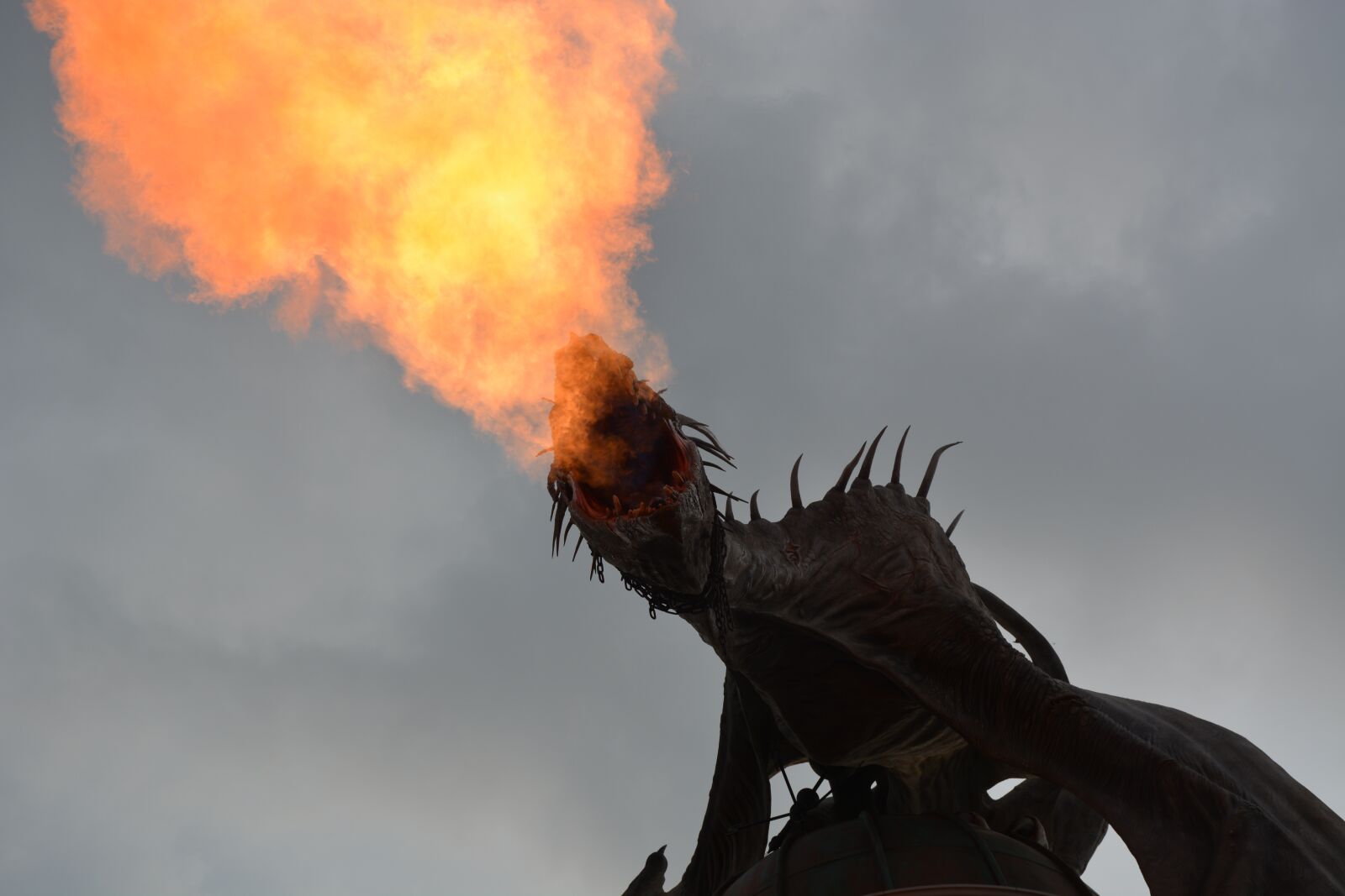 Nikon D5200 sample photo. Dragon, harry potter, fire photography
