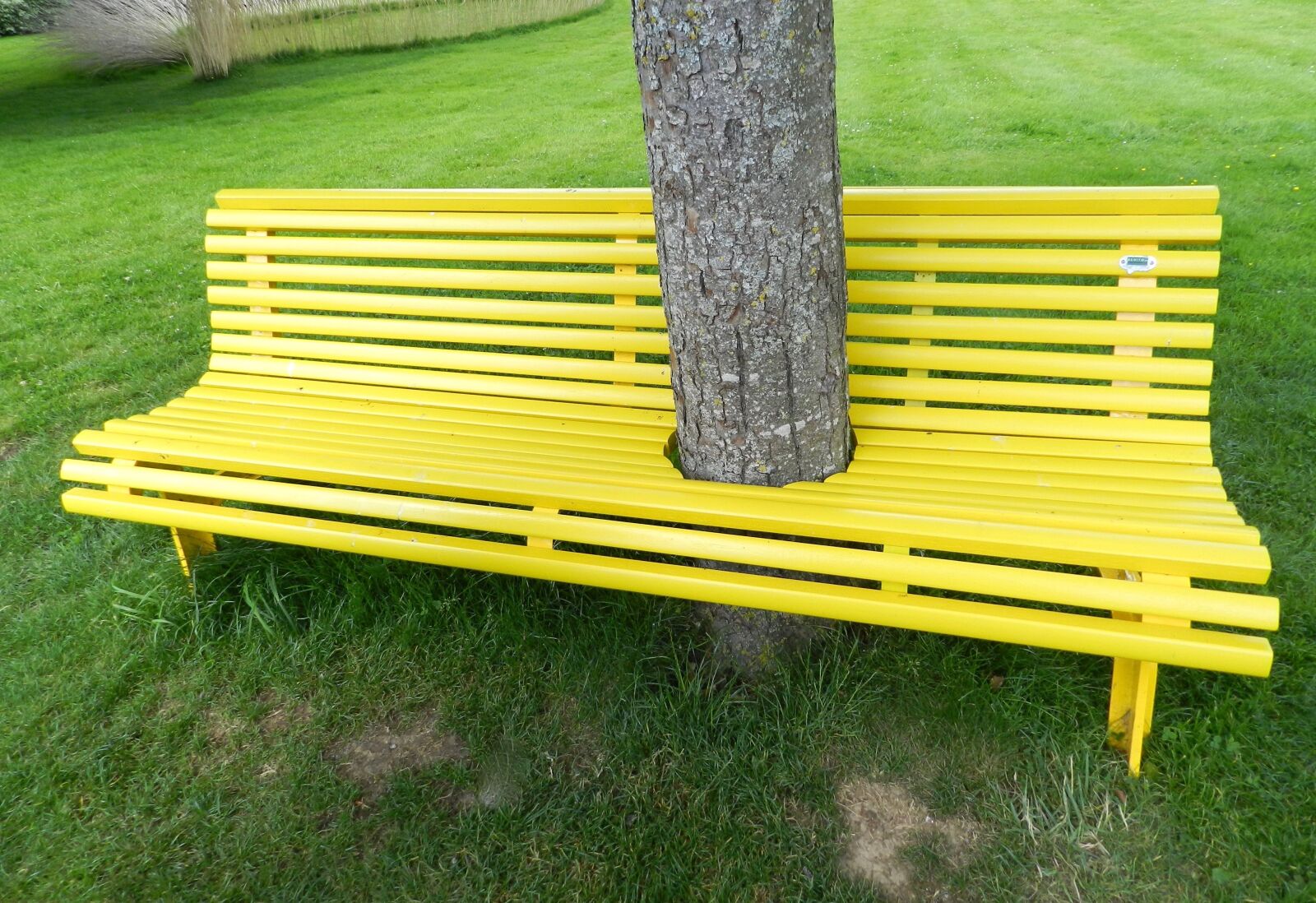 Nikon Coolpix P500 sample photo. Bench, nature, art photography