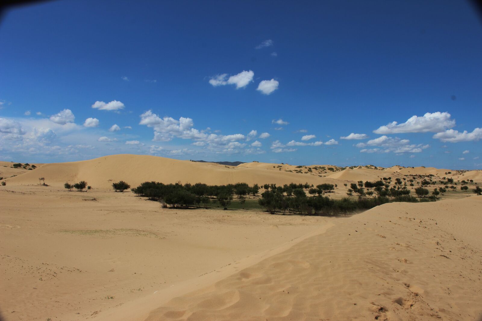 Canon EOS 600D (Rebel EOS T3i / EOS Kiss X5) sample photo. Desert, sand, nature photography