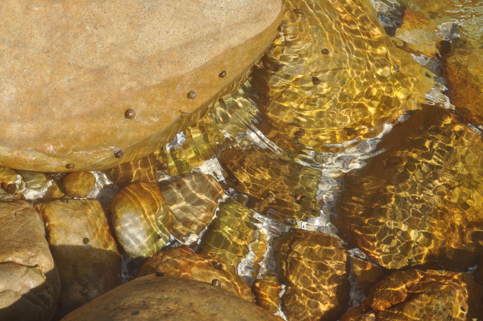 Nikon D5000 sample photo. Desktop, nature, sea photography