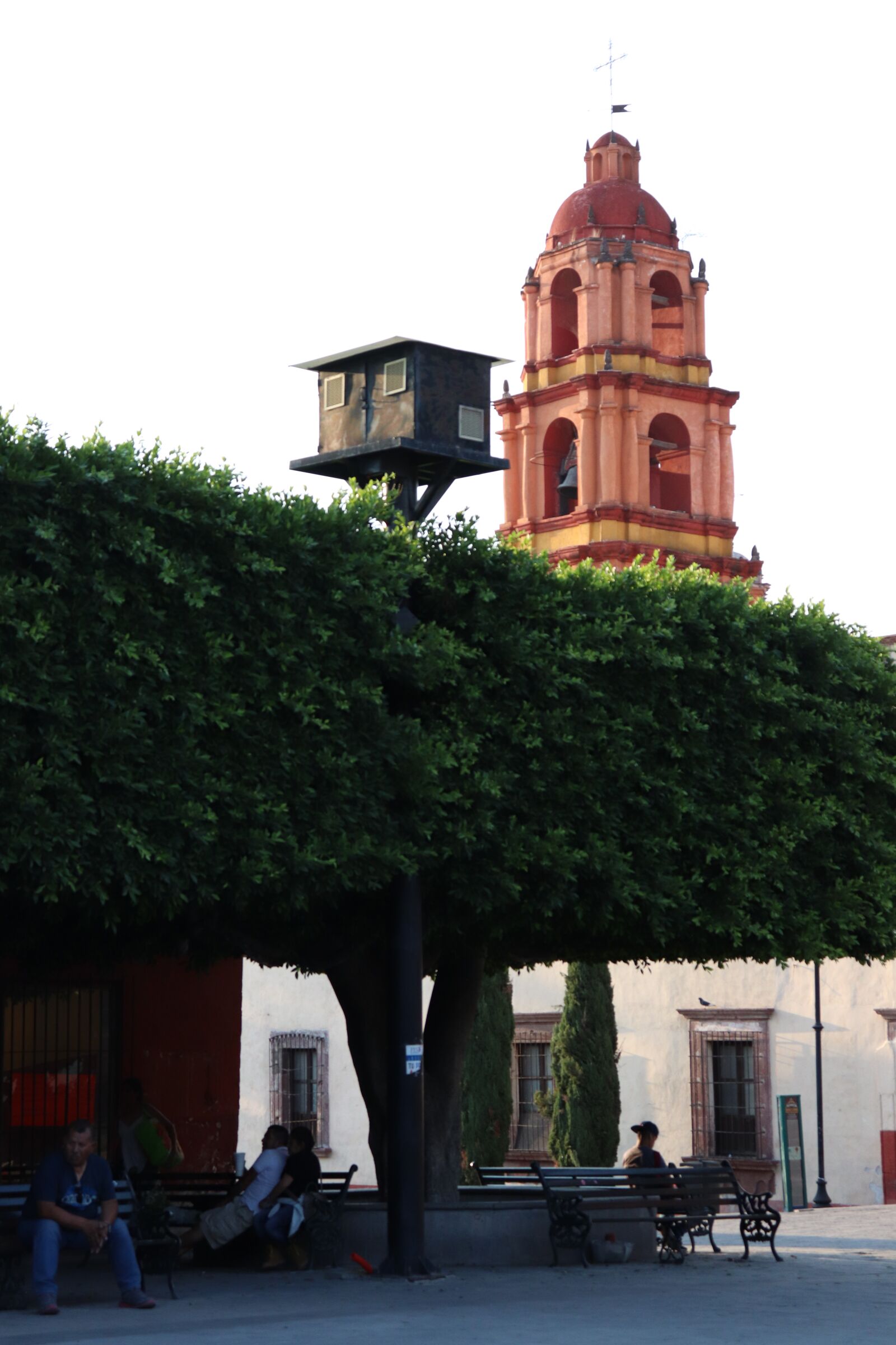 Canon EOS 200D (EOS Rebel SL2 / EOS Kiss X9) sample photo. Tree, tower, church photography