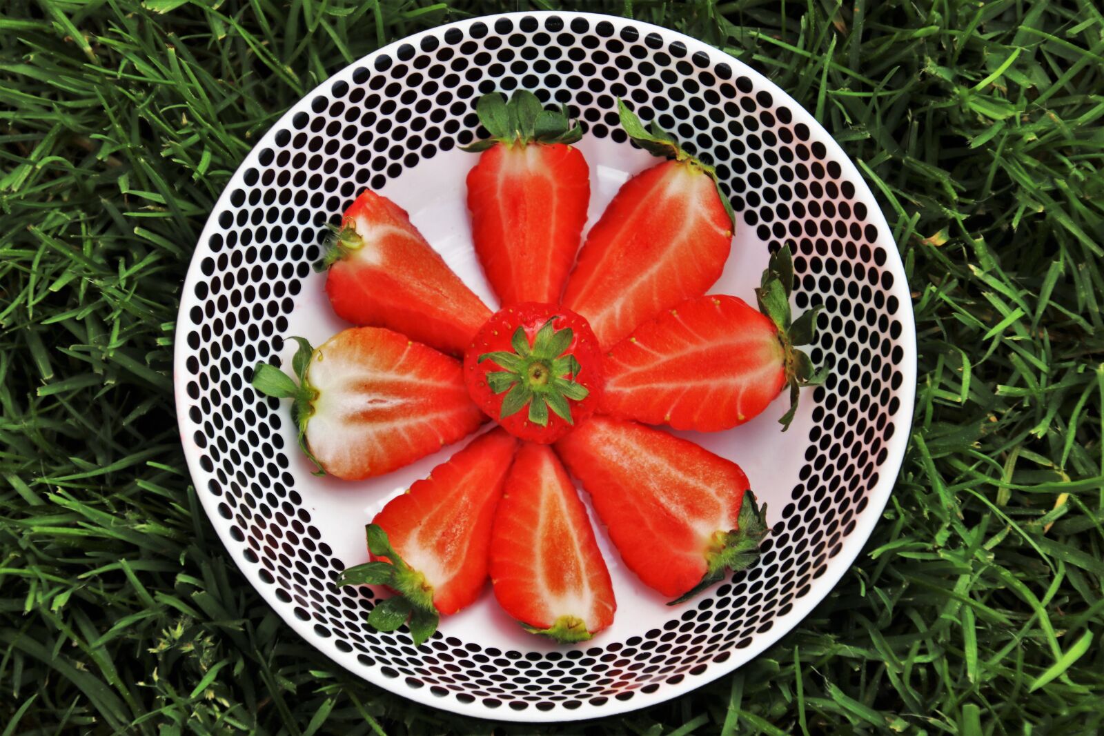 Canon EOS 80D sample photo. Dessert, strawberries, red photography