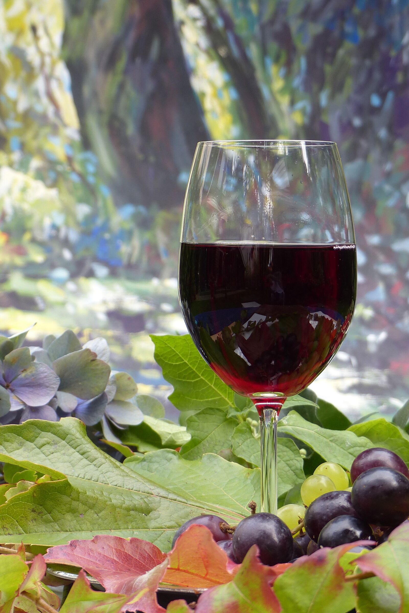 Panasonic Lumix DMC-FZ200 sample photo. Still life, grapes, drink photography