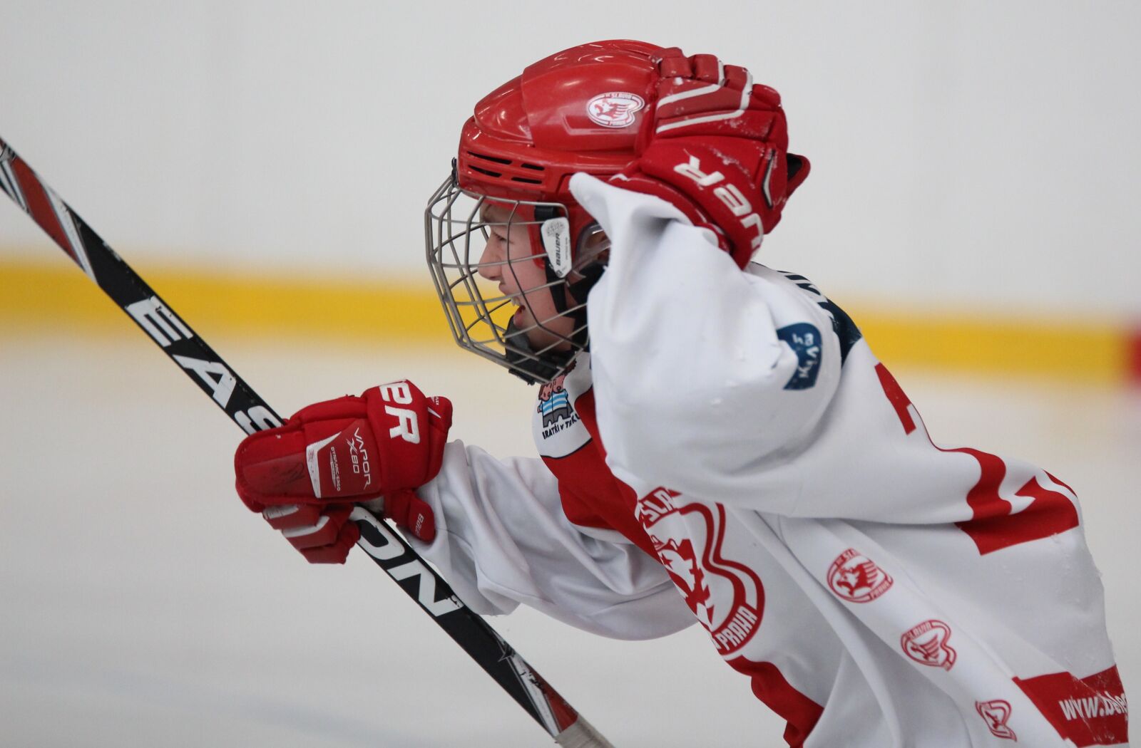 Canon EOS 700D (EOS Rebel T5i / EOS Kiss X7i) sample photo. Hockey, sport, injury photography