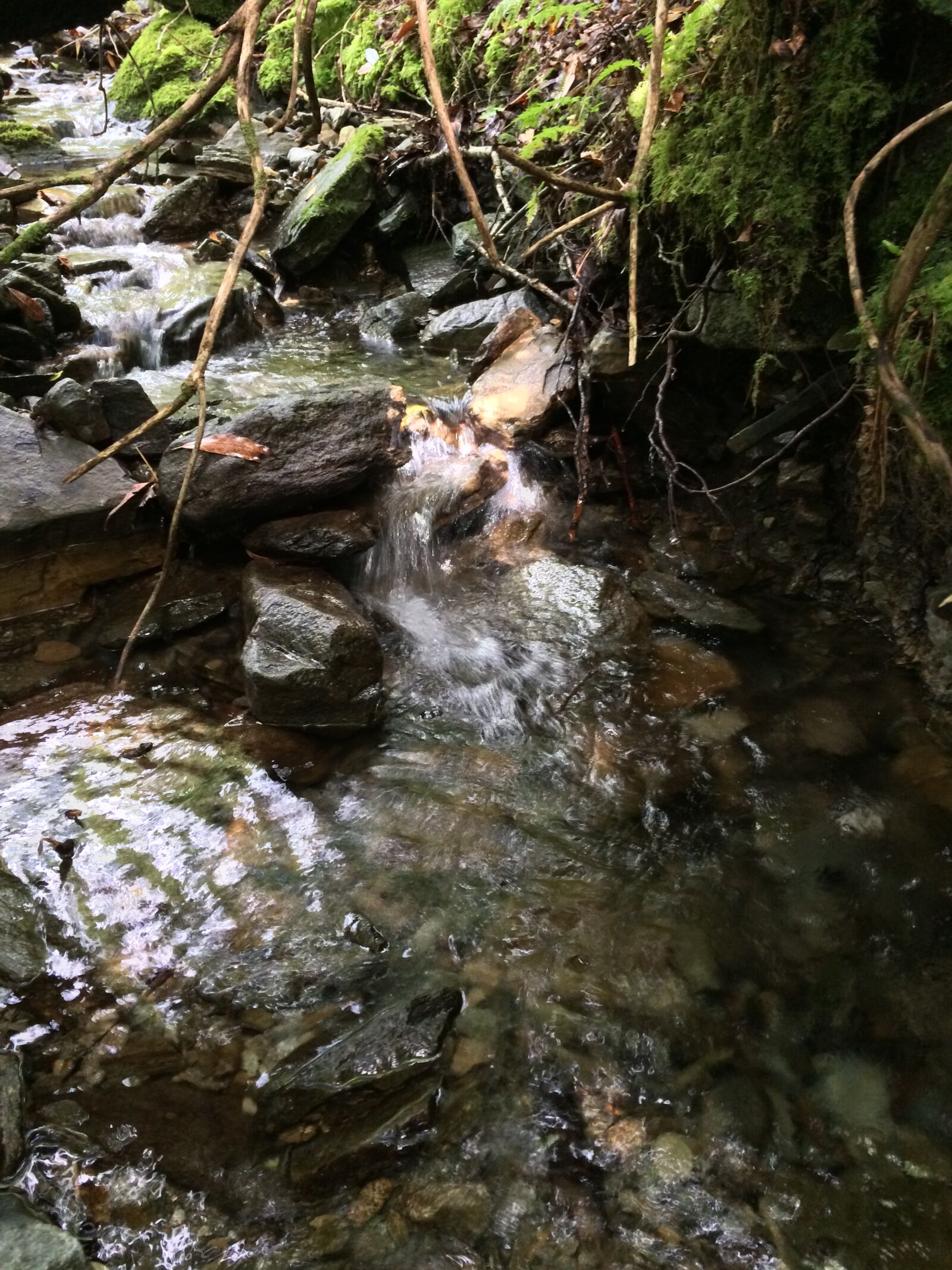 iPhone 5s back camera 4.15mm f/2.2 sample photo. Stream, rocks, water photography