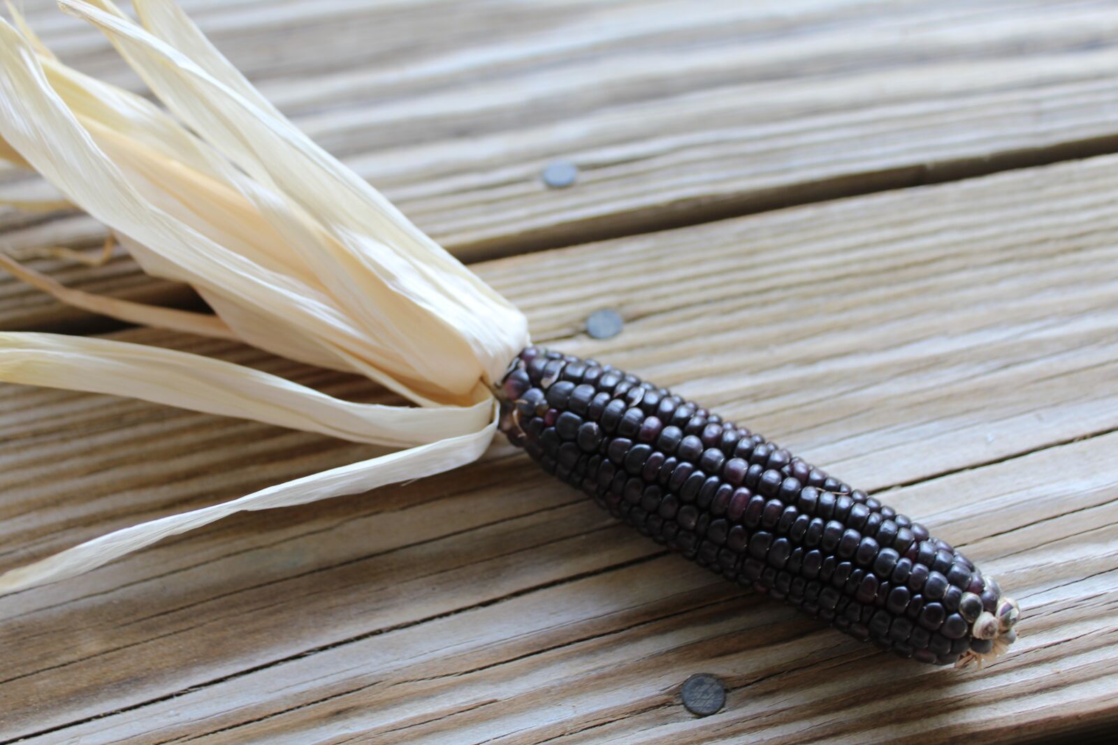 Canon EOS 1200D (EOS Rebel T5 / EOS Kiss X70 / EOS Hi) sample photo. Corn, glass corn, maize photography