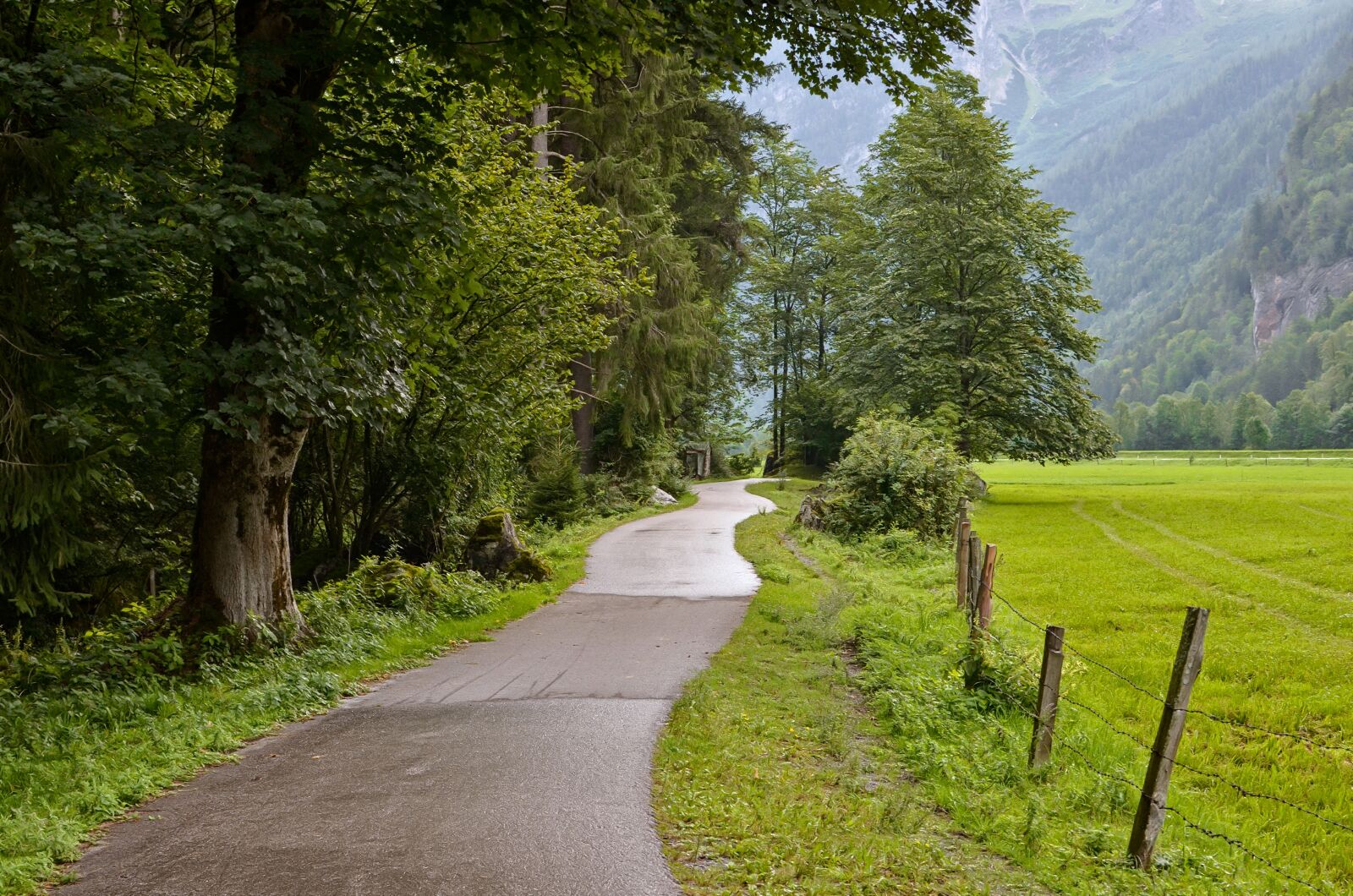 Nikon D7000 sample photo. Way, mountains, forest photography