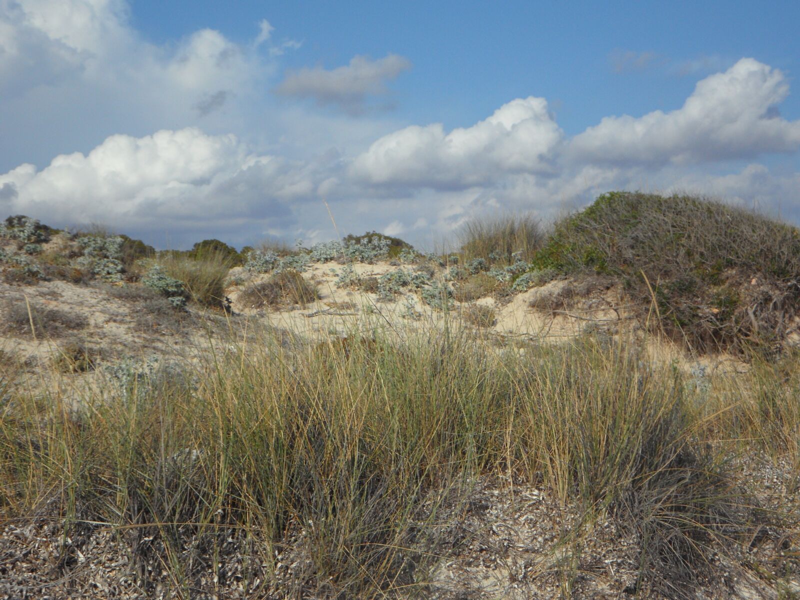 Samsung VLUU WB210, SAMSUNG WB210 sample photo. Dunes, dune landscape, empty photography