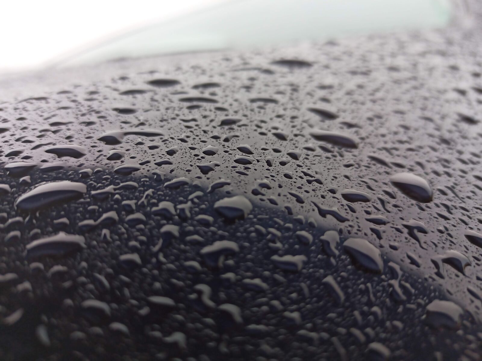 Xiaomi Redmi Note 8 Pro sample photo. Rain, drops, shade photography
