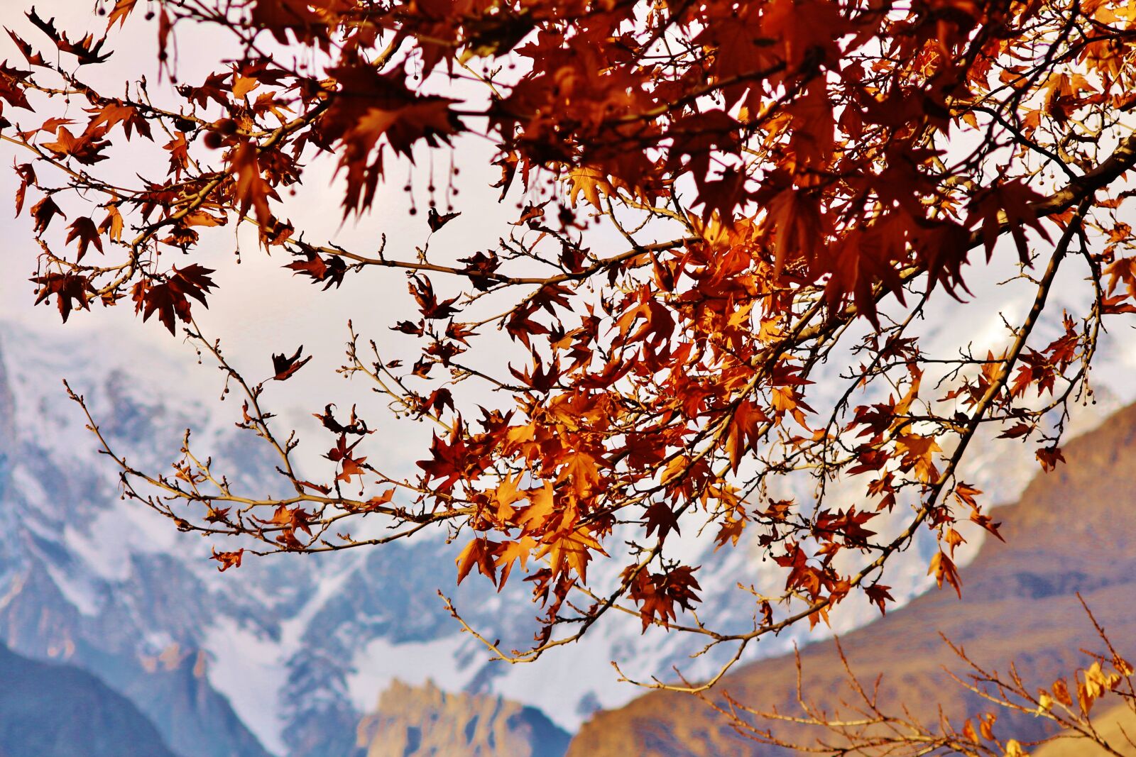 Canon EOS 700D (EOS Rebel T5i / EOS Kiss X7i) sample photo. Mountain, autumn, scenic photography