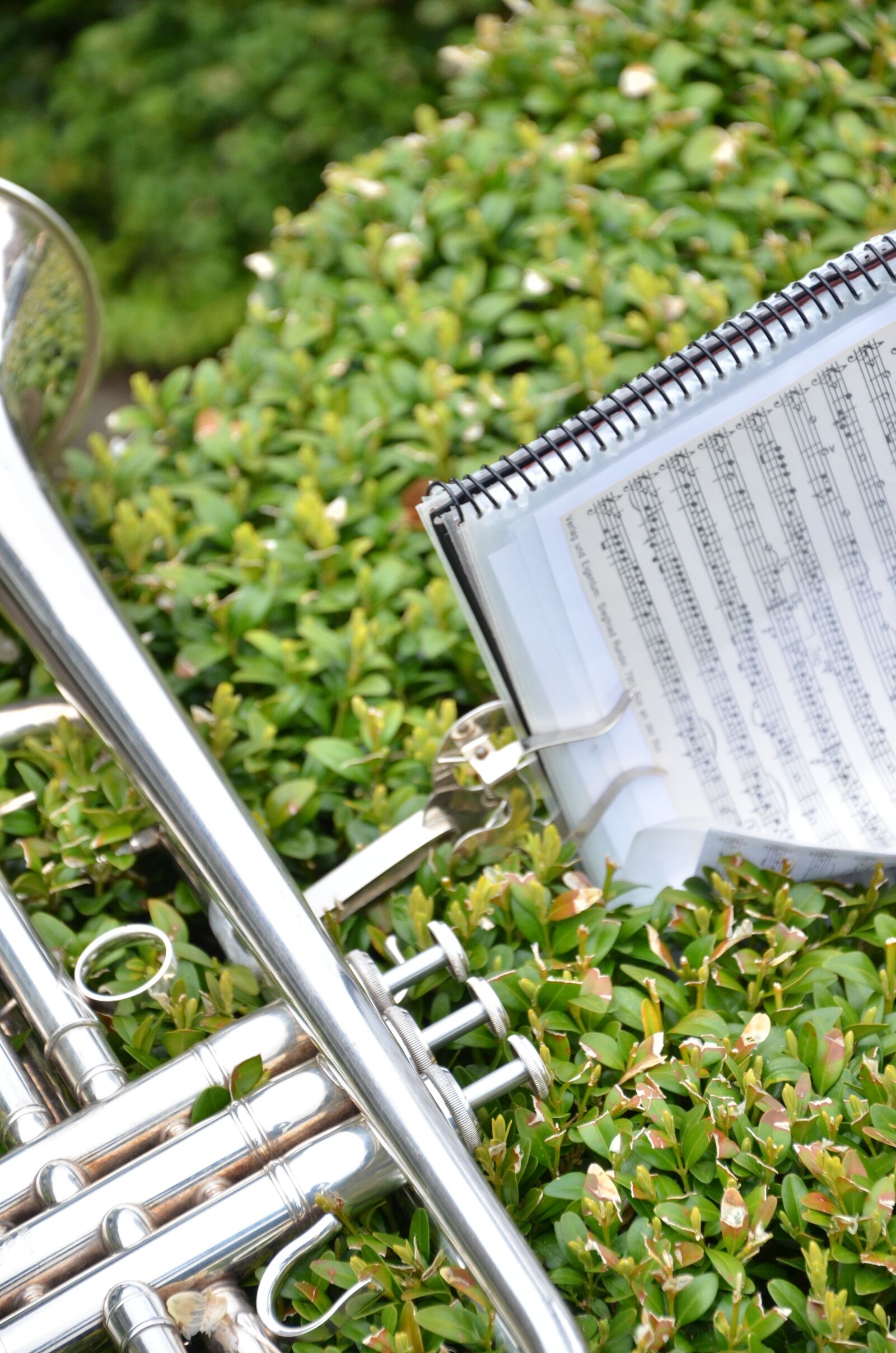 Nikon D7000 sample photo. Trumpet, musical instrument, music photography