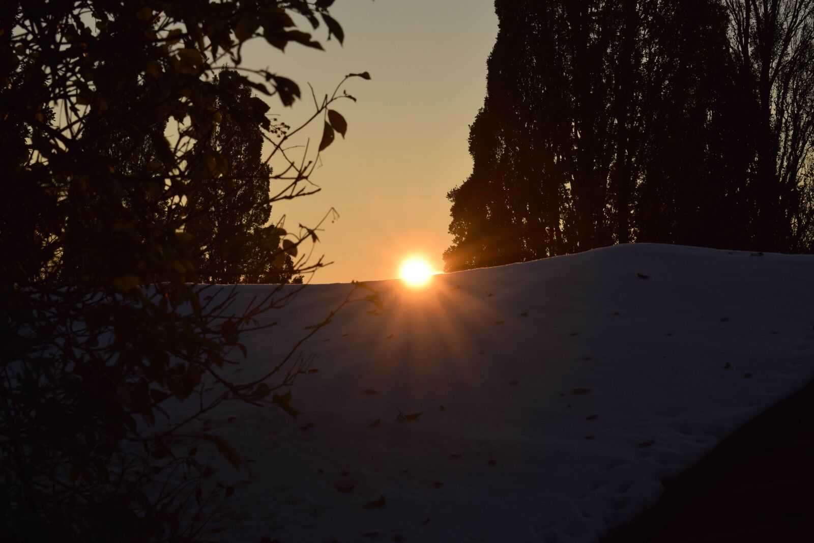 Nikon D3300 sample photo. Winter sun, snow, frosty photography