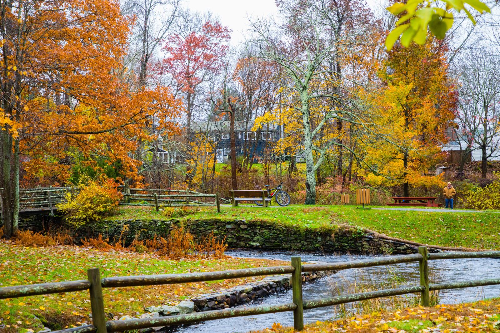 Canon EF 24-105mm F4L IS II USM sample photo. Fall, landscape, nature photography