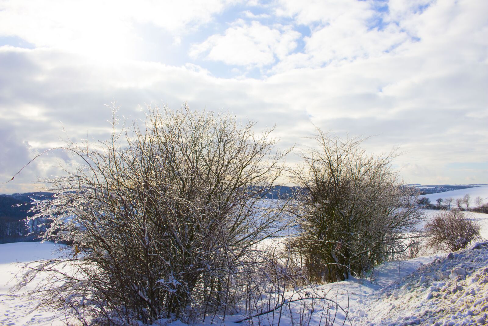 Canon EOS 100D (EOS Rebel SL1 / EOS Kiss X7) sample photo. Field, snow, frost photography