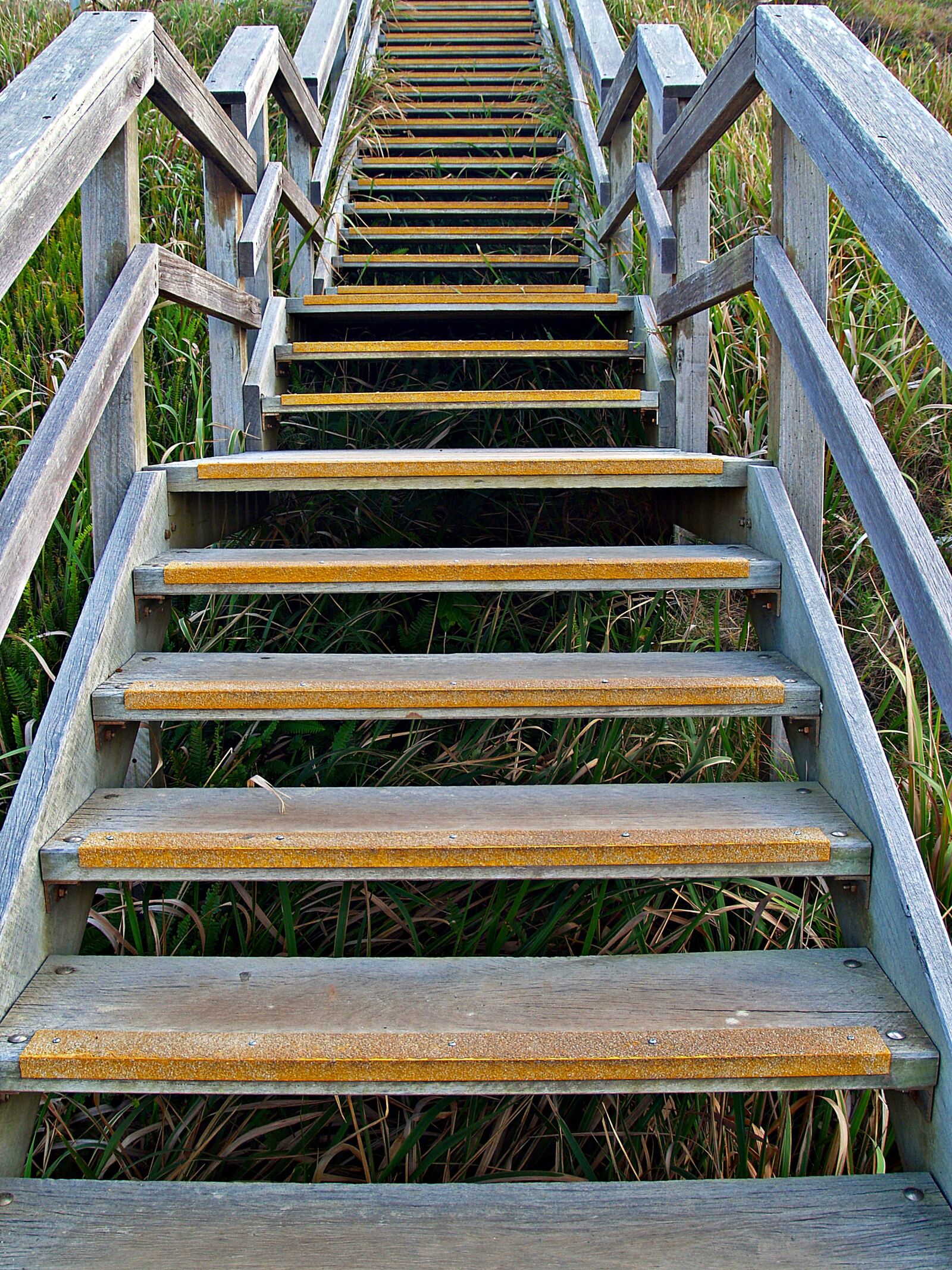 Olympus E-300 (EVOLT E-300) sample photo. Stairs, stairway, steps photography
