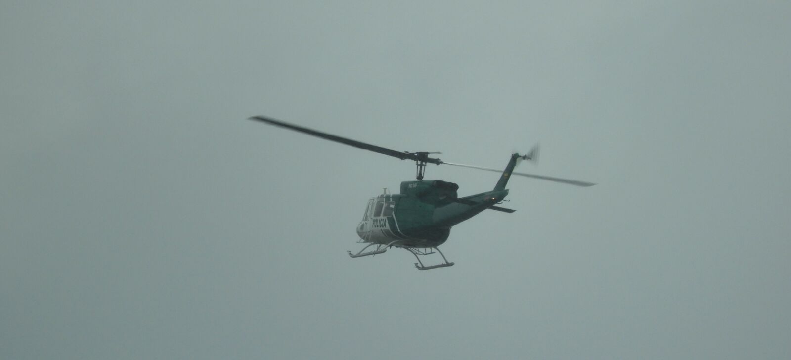 Nikon Coolpix B700 sample photo. Helicopter, branch of the photography