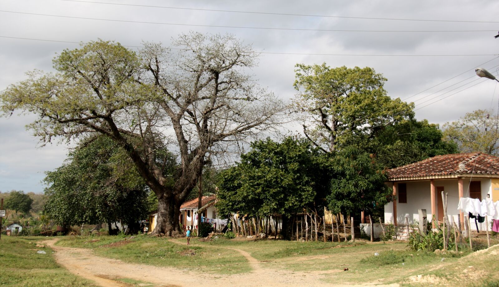 Canon EOS 450D (EOS Rebel XSi / EOS Kiss X2) sample photo. Village, tree, landscape photography