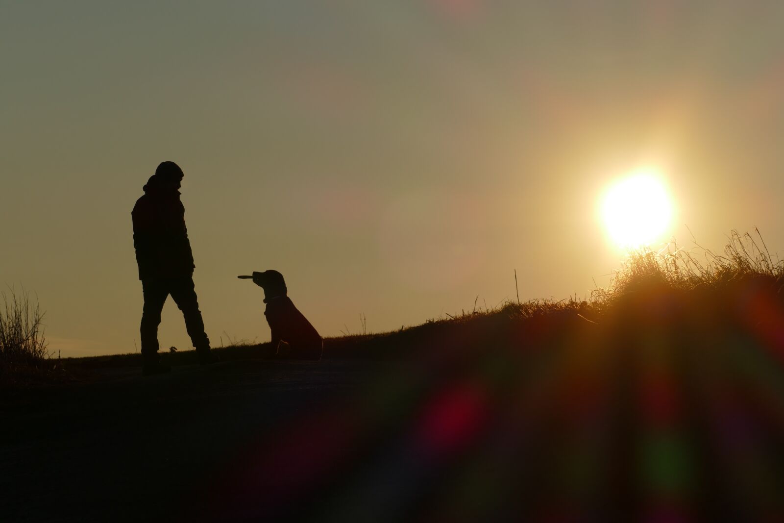 Panasonic Lumix DMC-FZ1000 sample photo. Sunset, sundown, people photography