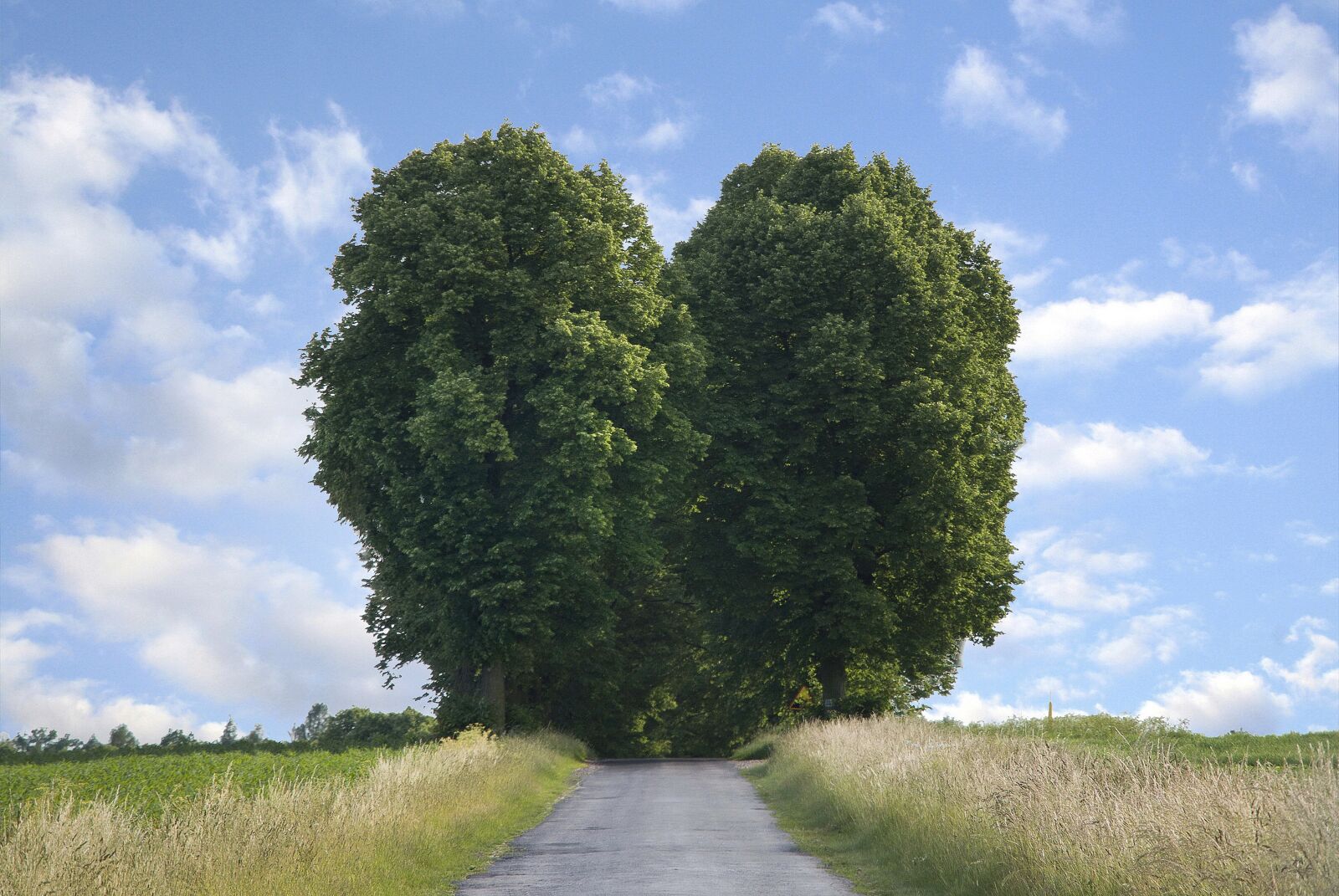 Canon EOS 70D sample photo. Heart, road, summer photography