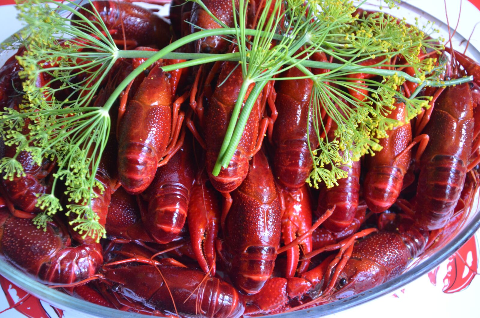 Nikon D7000 sample photo. Crayfish, late summer, crayfish photography
