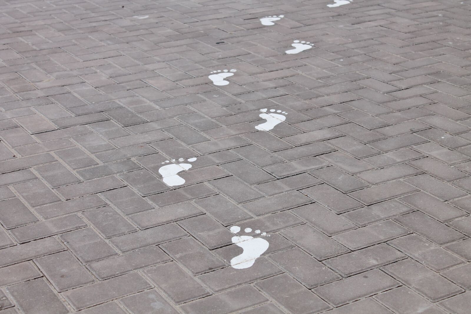 Canon EOS 1100D (EOS Rebel T3 / EOS Kiss X50) sample photo. Steps, footsteps, footprint photography