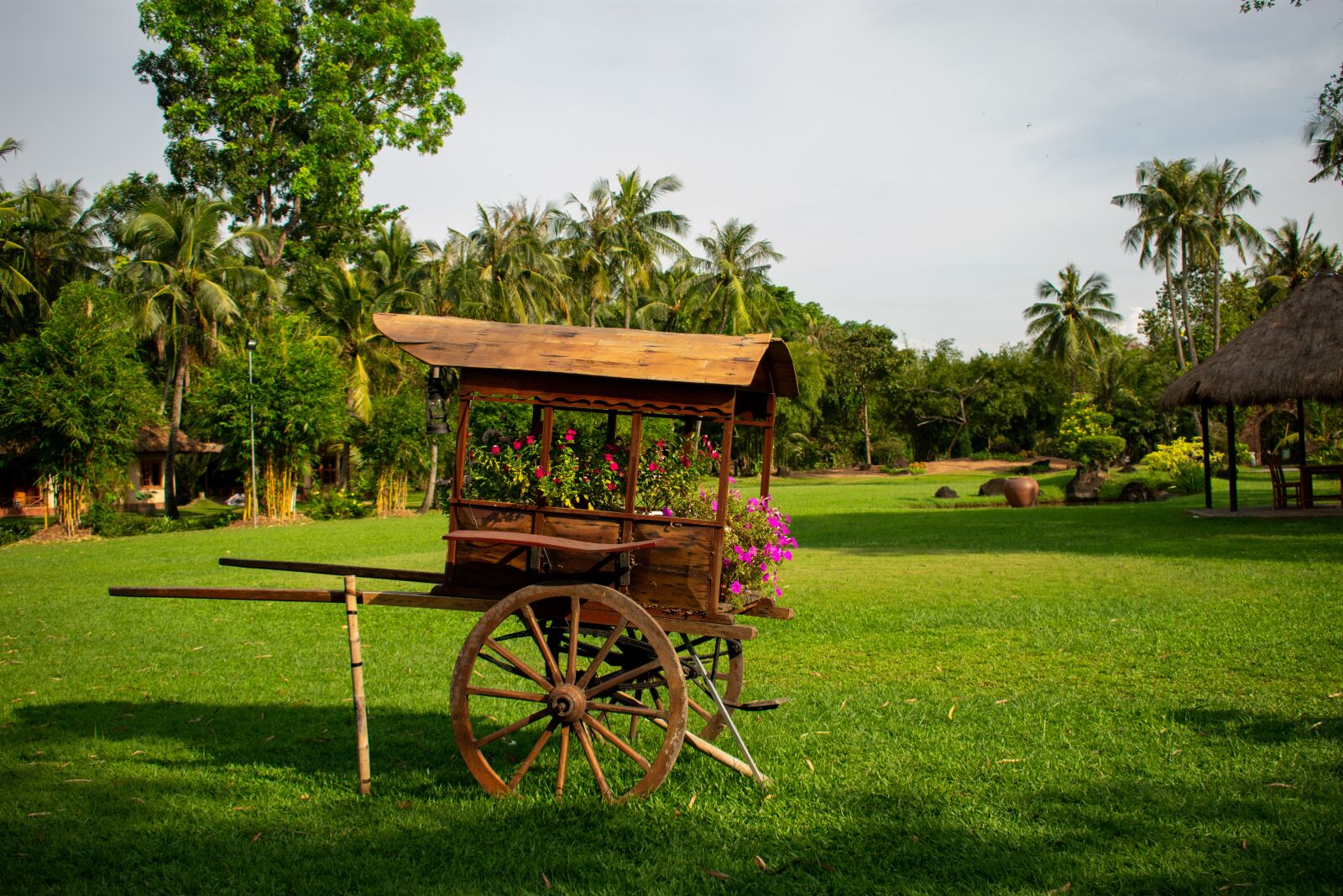 Nikon D3400 sample photo. Wooden, cart, green photography